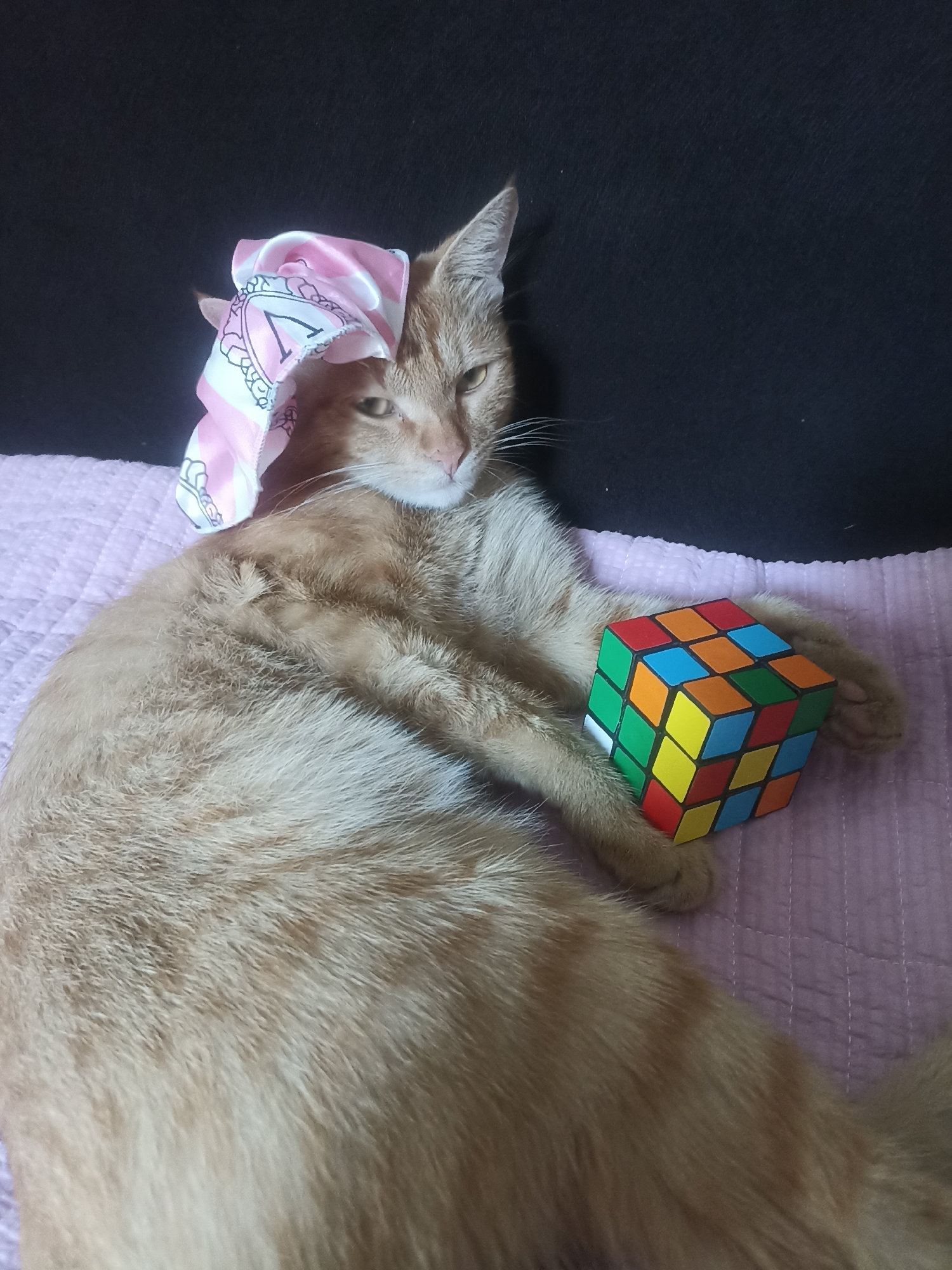 An orange tabby cat with a pink and white satin ribbon tied around its head is lying on a pink quilted blanket. The cat is looking to the left, with its paws resting on a Rubik's Cube. The background is a dark color, likely a wall or furniture. The scene appears to be indoors, possibly in a home. There is no information in the image that would suggest a location in Osh City, Kyrgyzstan.
