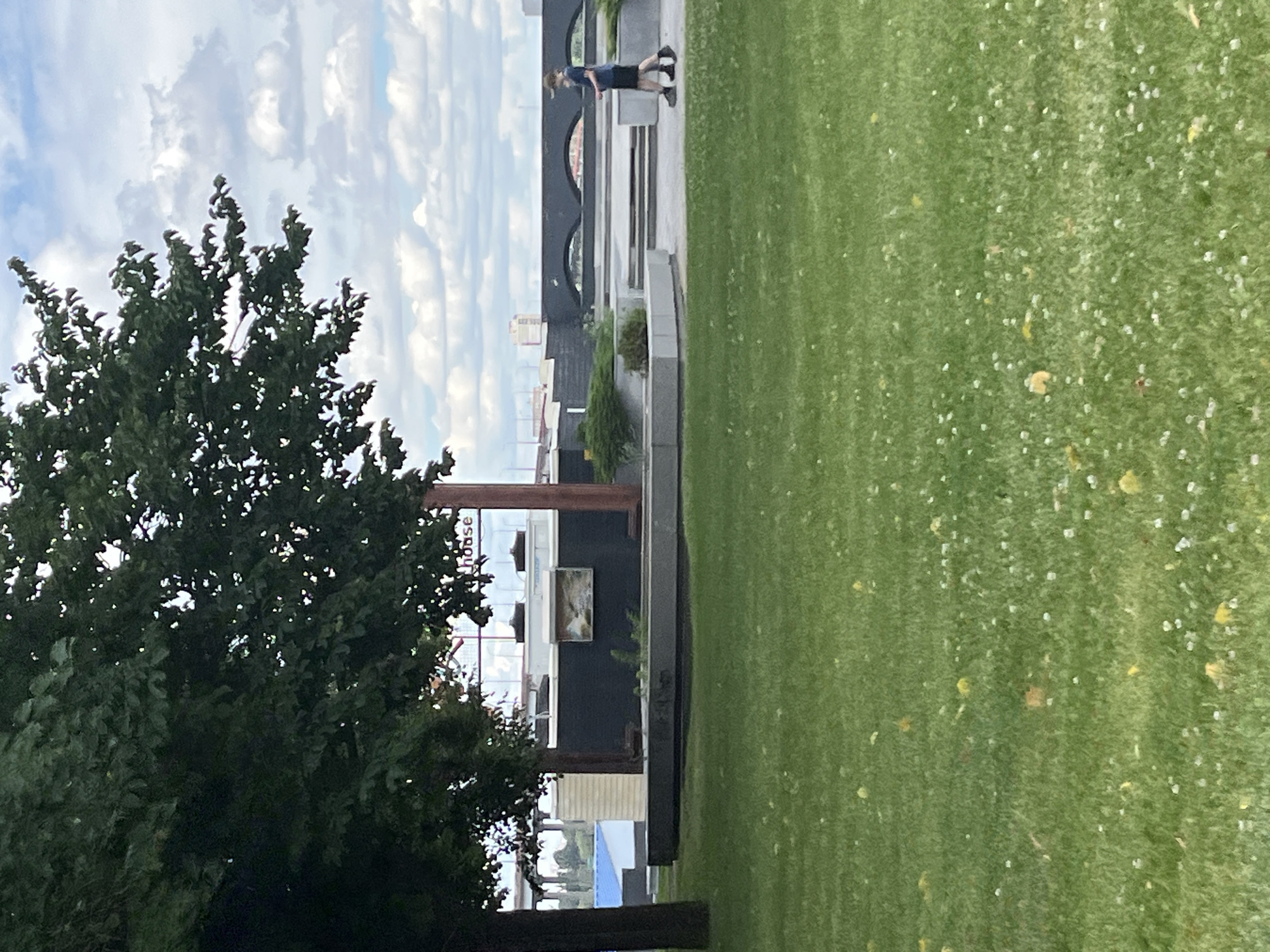 The image shows a green lawn with scattered yellow leaves and small white flowers. A person is walking on a paved area in the background. Behind the paved area, there is a dark grey wall with a framed picture on it. A large tree with dark green leaves is in the foreground on the left. The sky is blue with white clouds. The scene is located in Dnipro, Ukraine, specifically at the Embankment of Dnipro.