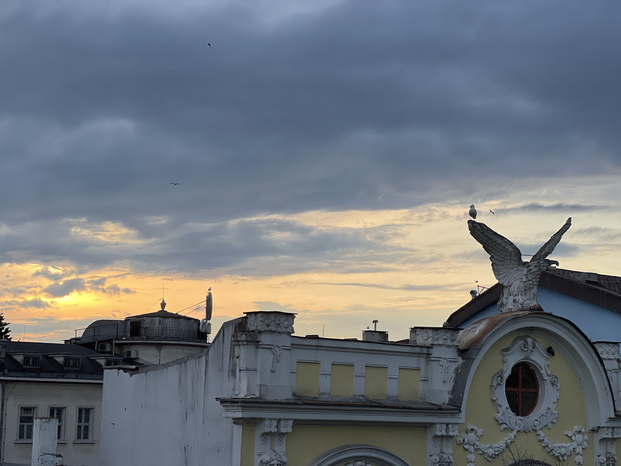 The image presents an urban rooftop scene in Burgas, Bulgaria, captured during sunset or dusk. The sky occupies the majority of the frame, characterized by heavy, dark gray clouds overhead, while a vibrant band of golden and orange light from the setting sun illuminates the horizon, peeking through the cloud cover.
In the foreground, the ornate architecture of old buildings is prominent. On the right, a large, weathered white statue of an eagle with spread wings is perched atop a decorative archway of a building. A real seagull stands on the head of this eagle statue, facing left. The building below the eagle features a light yellow facade adorned with intricate white stucco carvings, including swirling patterns and swags, and a distinctive round window with a red, cross-like frame.
To the left, several other buildings are visible, including one with a dark roof and a prominent circular structure resembling an observatory or cupola, equipped with antennas and satellite dishes. Numerous small birds are scattered across the sky, some flying and others perched on distant rooftops or chimneys, adding a sense of life to the darkening landscape. The overall mood conveyed is one of quiet contemplation as day transitions into night over the historic city. No visible text is present in the image.