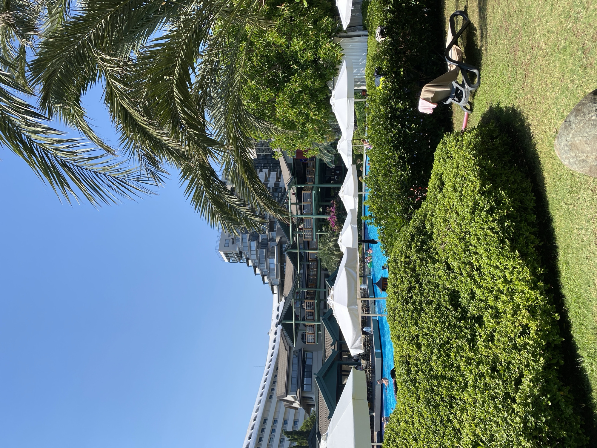 The image depicts an outdoor swimming pool area at a resort, likely in Aksu, Turkey, given the architectural style of the buildings and the palm trees. The foreground is dominated by lush green hedges and a well-maintained lawn. A lounge chair with a pink towel draped over it is positioned on the grass to the right. Beyond the hedges, a vibrant blue swimming pool is visible, with several people swimming and relaxing. White umbrellas are strategically placed around the pool for shade. In the background, a large, multi-story hotel complex with distinctive modern architecture rises against a clear blue sky. The hotel features a curved white facade and several terraced levels with numerous windows. Palm trees frame the scene, with their fronds reaching towards the sky.
