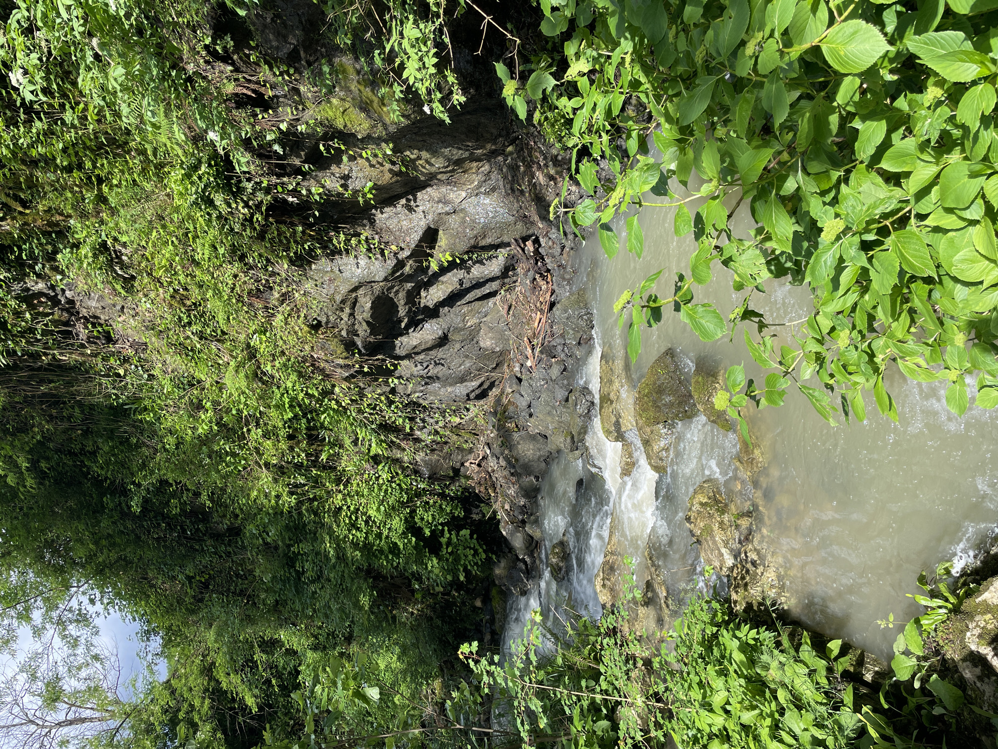 The image depicts a stream flowing through a rocky and vegetated ravine in Solokh-Aul, Russia. The stream flows from the upper left toward the lower right of the image. Its water is somewhat turbid. The ravine walls are covered in moss and other green vegetation. Trees and plants overhang both sides of the stream. The sky is partially visible in the upper-left corner.