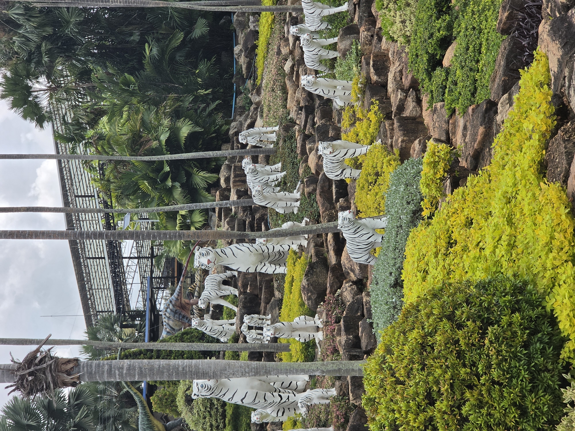 This image depicts a landscaped area in Na Chom Thian, Thailand. A series of white tiger statues, each with black stripes, are arranged on a rocky slope. The slope is also adorned with various green and yellow plants. Tall palm trees stand in the foreground, partially obscuring the view of a large, metal-structured building or enclosure in the background. The scene features dinosaur models. The sky appears overcast.