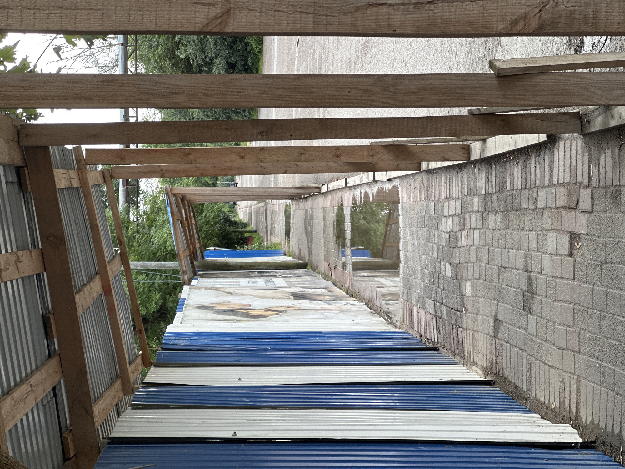 The image shows a covered walkway with a corrugated metal roof supported by wooden beams and vertical wooden posts. The walkway is paved with rectangular bricks and is lined on the left by a fence made of alternating blue and white corrugated metal sheets. Some of the metal sheets have posters attached to them. There are several puddles of water on the walkway. To the right of the walkway, there is an unpaved area, possibly a road or parking lot, and beyond that, trees and foliage are visible. The scene appears to be outdoors in an urban or semi-urban environment. The overall impression is one of a temporary or unfinished structure.