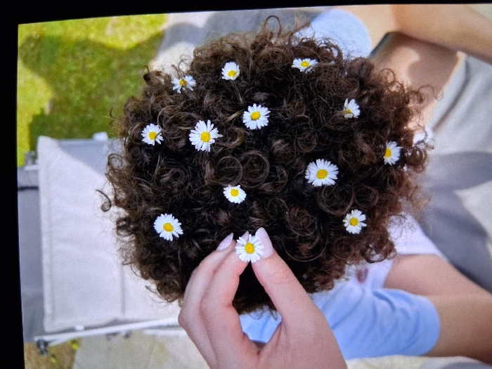 An overhead photograph depicts the top of an individual's head, featuring voluminous dark brown, tightly curled hair. Scattered throughout the hair are approximately 13-14 small white daisies with prominent yellow centers. A light-skinned hand, with manicured fingernails painted a pale color, is positioned on the left side of the frame, actively inserting a daisy into the hair. The individual with the curly hair is partially visible, wearing a light blue garment on their left side and a light-colored garment on their right side. In the upper left background, a portion of a light grey padded lounge chair or sun lounger is visible. The upper right background reveals a patch of green grass, partially shaded by an unseen object. The scene is illuminated by bright, direct sunlight. The location is the city of Unknown, Unknown.