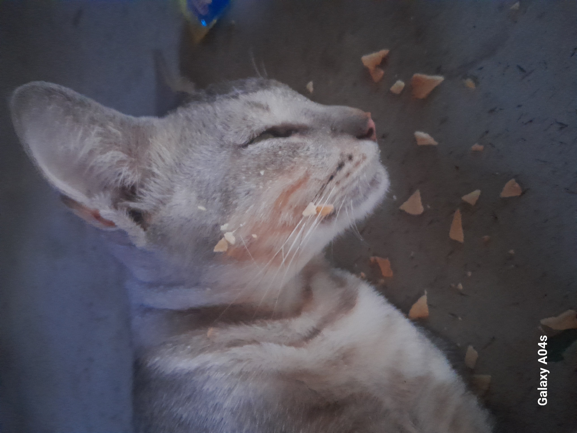 A close-up, slightly angled shot shows a light gray tabby cat lying down with its eyes closed, appearing to be asleep or resting. The cat's face is speckled with small, light brown crumbs, some clinging to its whiskers and fur. Scattered around the cat on the dark gray surface are more of these crumbs, which appear to be pieces of a cracker or biscuit. The background is a dark, mottled gray, with a faint blue object visible on the far right. The bottom left corner of the image contains the text "Galaxy A04s". The scene is devoid of any human presence.
