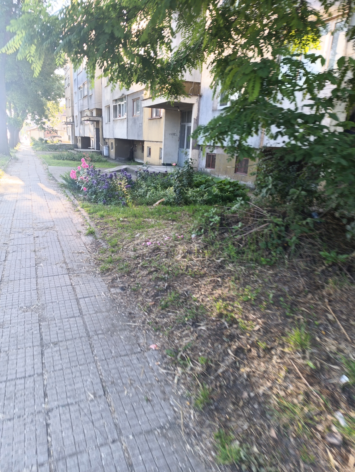 An outdoor, low-angle, full shot depicts a sidewalk made of grey rectangular tiles that stretches into the distance along the left side of the frame. Adjacent to the sidewalk, to the right, is a patch of grass with some dry leaves and twigs. Further to the right and beyond the grassy area, a multi-story building is visible, its facade a mix of light grey and a muted yellow. There are numerous windows and balconies on the building. In the foreground, near the sidewalk and the grassy area, are clusters of pink and purple flowers. Trees with green foliage overhang the scene from the top and left. The lighting suggests it is either early morning or late afternoon, with sunlight casting shadows and illuminating parts of the environment. The location is identified as Karnobat, Bulgaria.