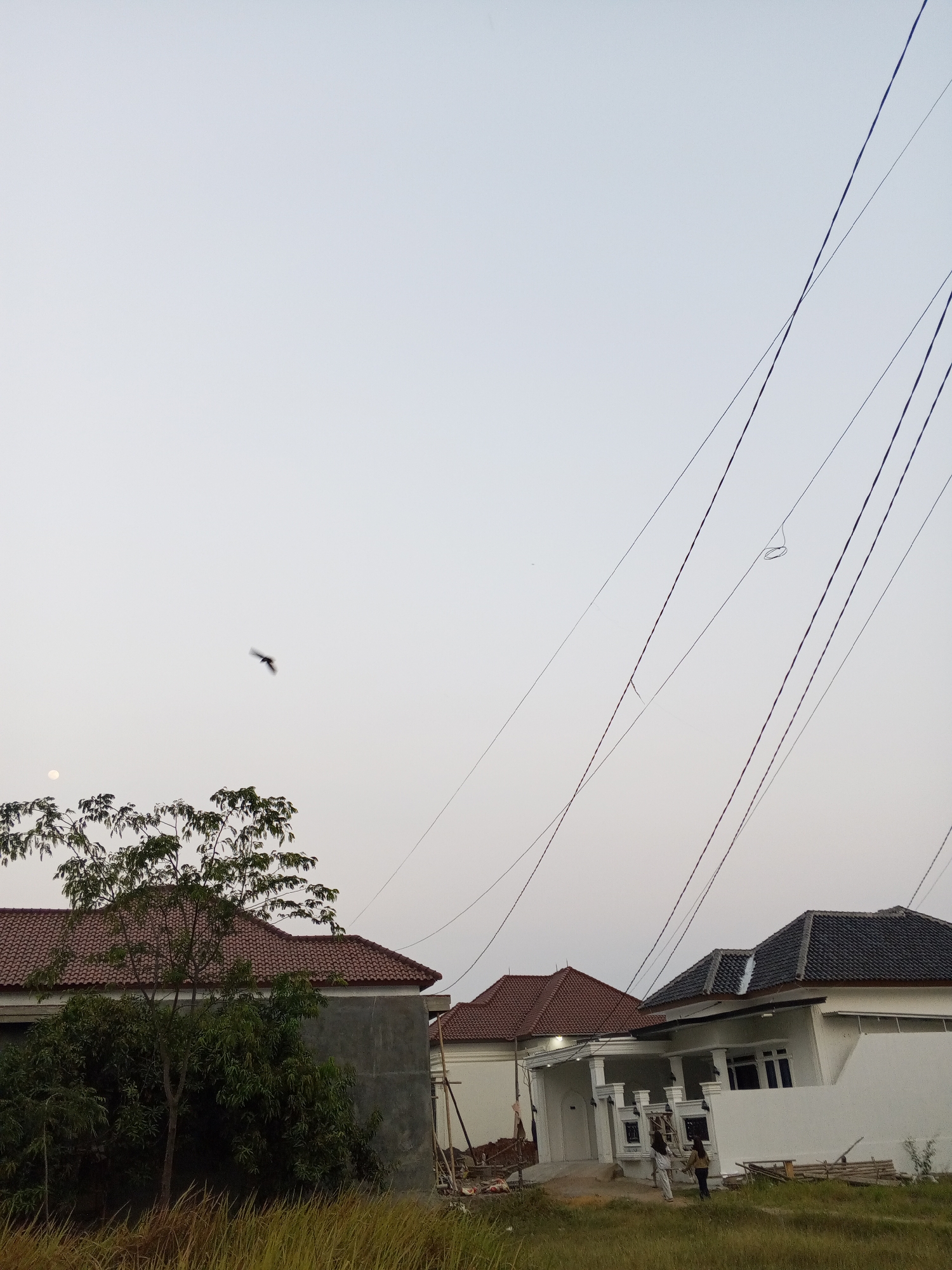 In the city of Gebang, Indonesia, the image captures a residential area under a pale, overcast sky. Several houses with terracotta and dark grey tiled roofs are visible, some appearing to be under construction with scaffolding present. In the foreground, dry, yellowish grass covers the ground. A leafy tree with green foliage stands to the left of the frame, partially obscuring a grey-walled house. Overhead, numerous electrical wires stretch across the sky, some appearing taut and others with slight slack. In the upper left quadrant of the image, a bird is captured mid-flight, its wings spread. A faint circular shape, possibly the moon or a distant light source, is also present in the upper left. Two individuals, one wearing light-colored clothing and the other in darker attire, are standing near the entrance of a white modern house on the right.