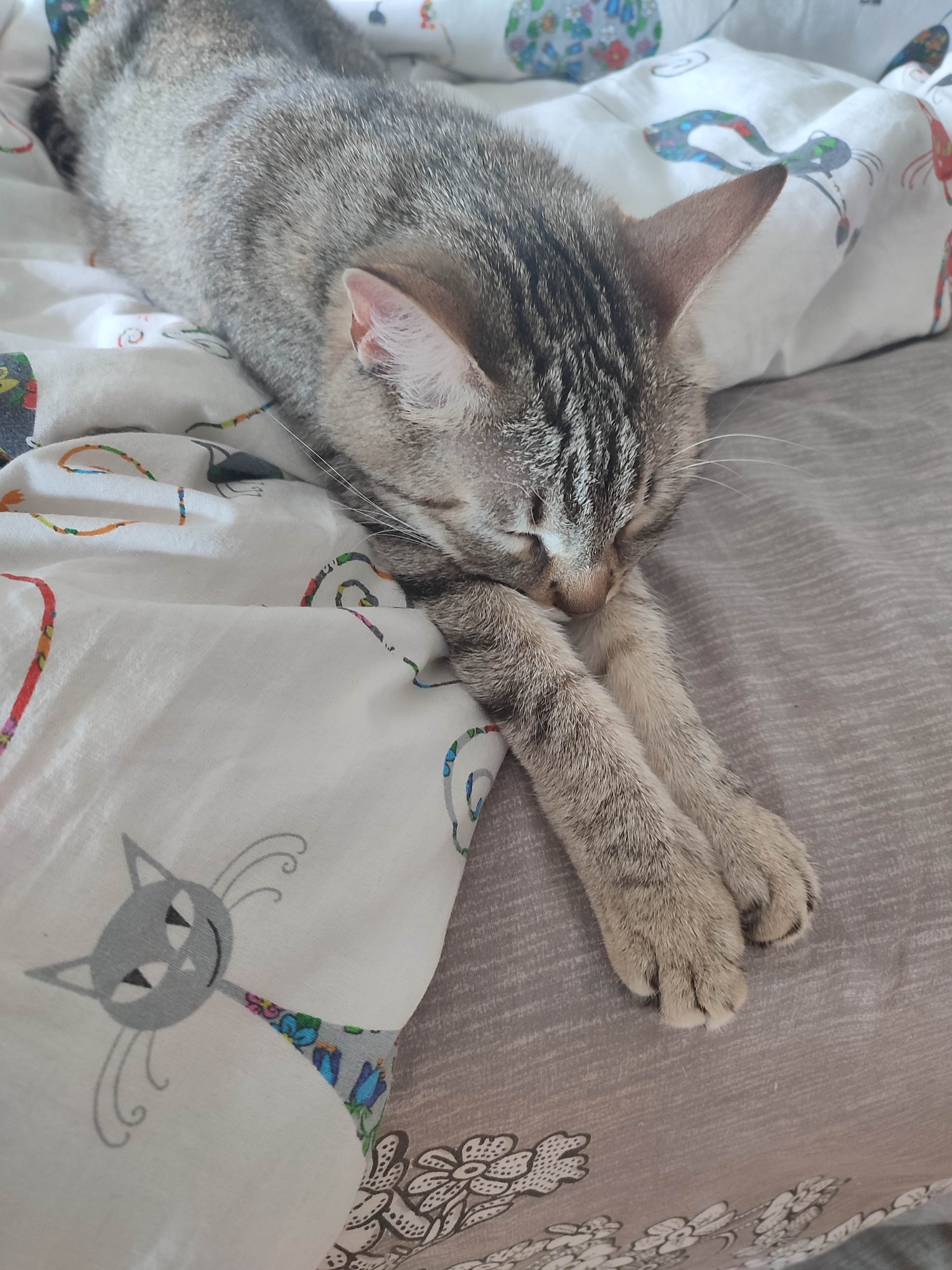 A grey tabby cat is lying on a bed with patterned sheets in Gremyachinsk, Russia. The cat is stretched out, with its front paws extended and its head resting on them. The bed has light grey sheets with a floral pattern and a white duvet cover with cartoon cats and other colorful designs.
