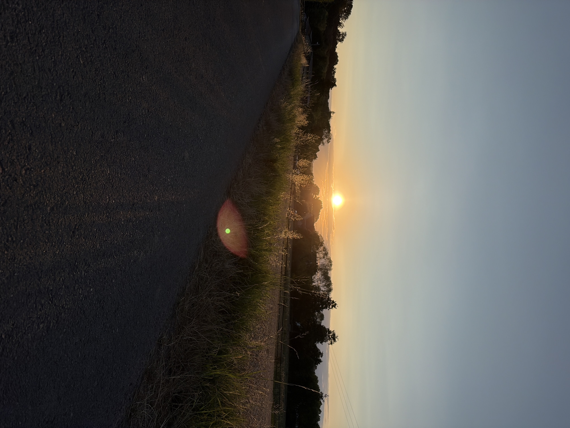 A rural road runs diagonally from the bottom left corner towards the center of the image, leading towards a sunset. The road is paved with asphalt and appears to be empty. To the right of the road, tall dry grass and other vegetation grow along a fence line. In the background, there is a treeline and a field. The sun is setting on the horizon, casting a warm glow over the landscape and creating a lens flare on the right side of the image. The sky is a gradient of pale blue at the top, transitioning to a soft orange near the horizon.