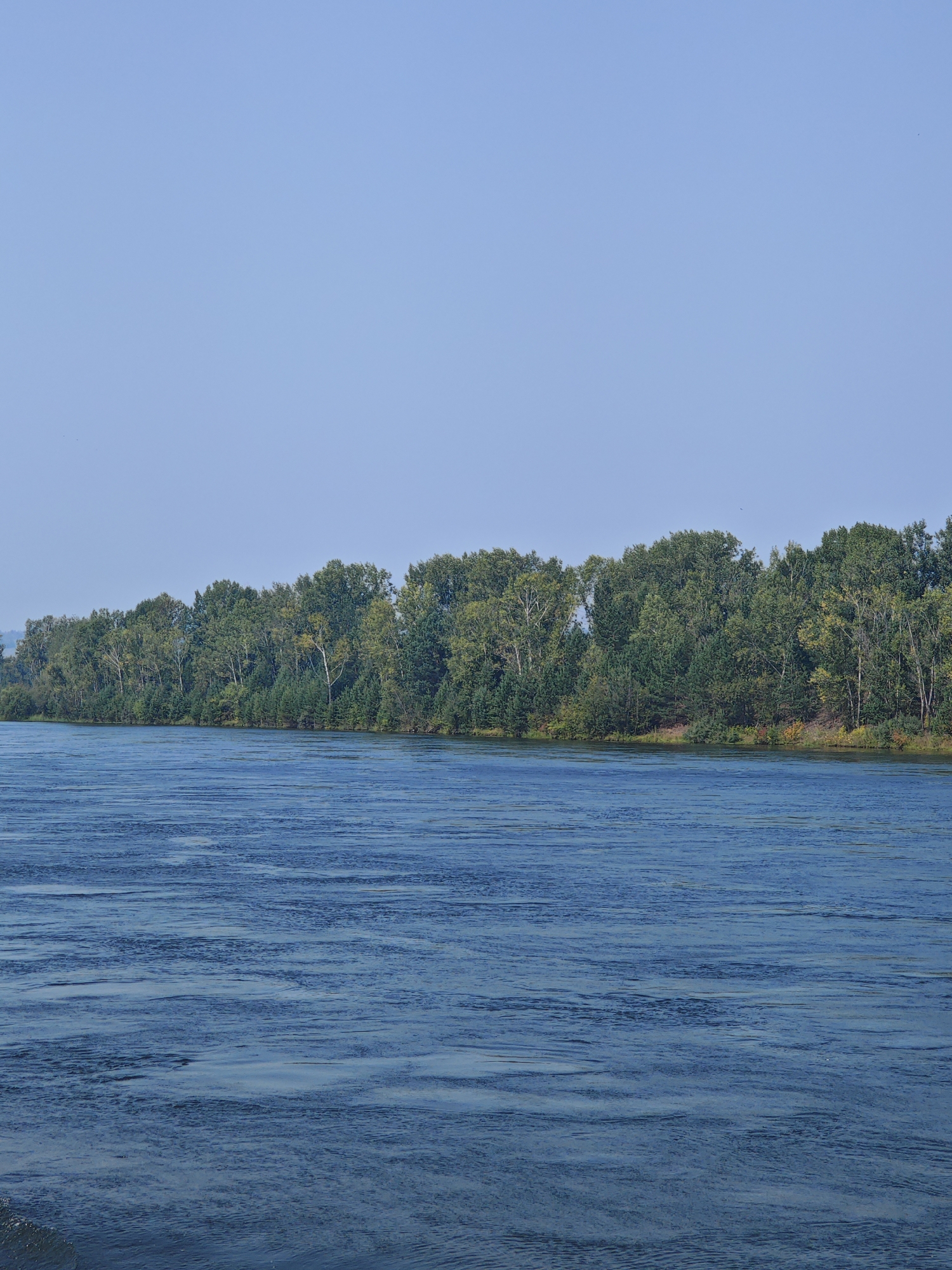 The image depicts a wide, calm river flowing through a landscape in Esauolovo, Russia. The river occupies the lower half of the frame, with its surface reflecting the clear blue sky. The water exhibits gentle ripples and wave patterns. Along the far bank of the river, a dense line of green trees forms a natural border. The trees vary in height and density, with some appearing taller and more mature than others, creating a textured horizon. The sky above is a pale, cloudless blue, extending to the top of the image. The overall scene is one of natural tranquility and expansive open space.