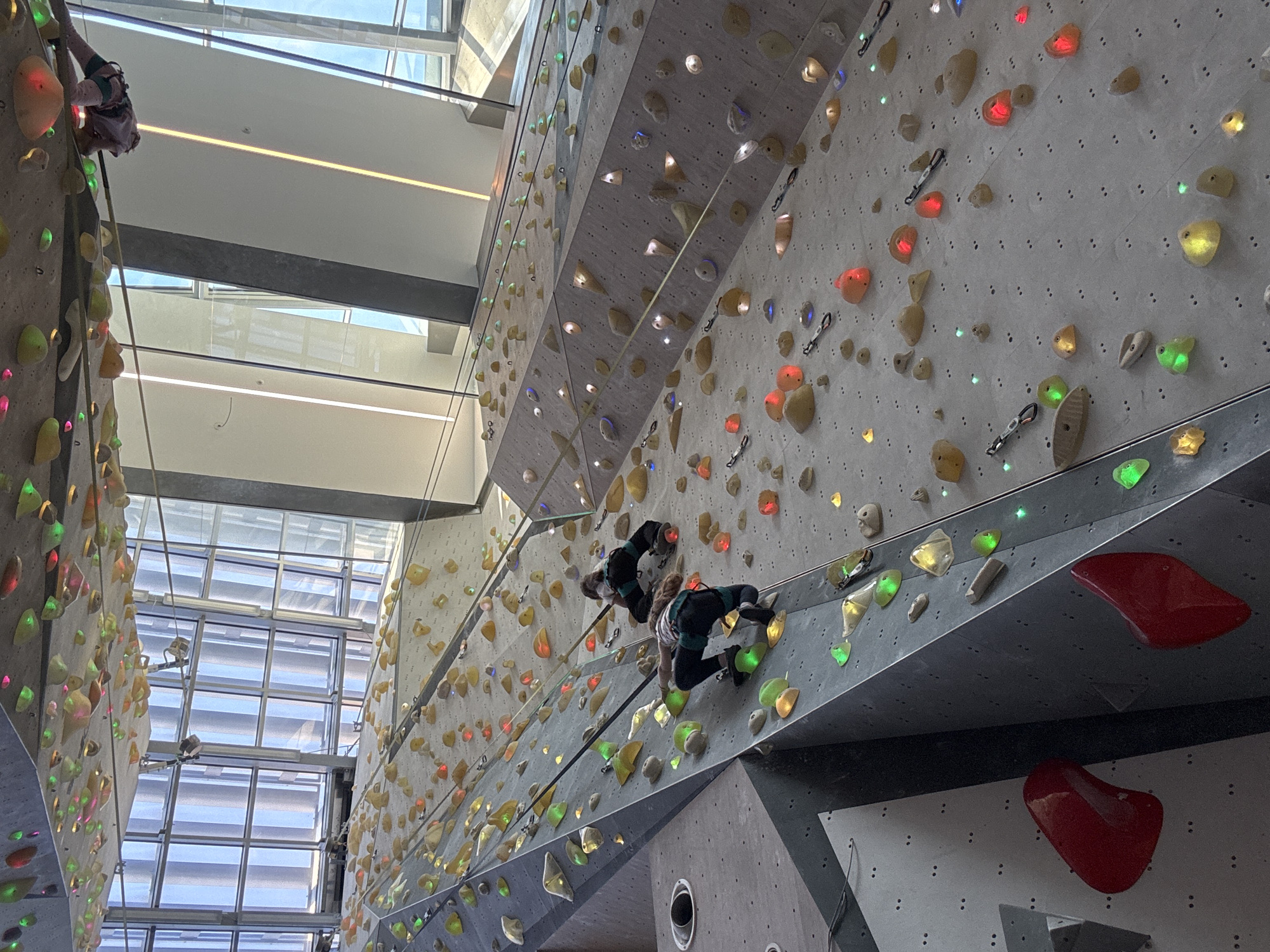 The image captures an expansive indoor climbing gym with towering walls, illuminated by a combination of artificial lights and abundant natural light filtering through large overhead glass windows and skylights.
Two individuals are actively engaged in climbing. One climber is partially visible in the upper left, wearing dark attire and a harness, reaching for a bright orange climbing hold. Another climber is positioned centrally on a slightly overhanging section of the wall, dressed in dark clothing with green accents and a harness, with their left hand on a green hold and right foot on a yellow hold. A climbing rope trails from this individual.
The climbing walls are constructed from a light grey material and are densely covered with numerous climbing holds of various shapes, sizes, and colors, including red, orange, yellow, green, blue, and transparent. Many of these holds feature internal lighting, illuminating specific routes with different colors. Carabiners, likely part of quickdraws, are attached to some holds. The sophisticated lighting system on the holds suggests an interactive climbing experience, possibly using an app to project routes.
The high ceilings and extensive glass panels create a bright, open atmosphere within the gym. No text is visible in the image. The setting suggests a modern facility designed for competitive or recreational rock climbing.