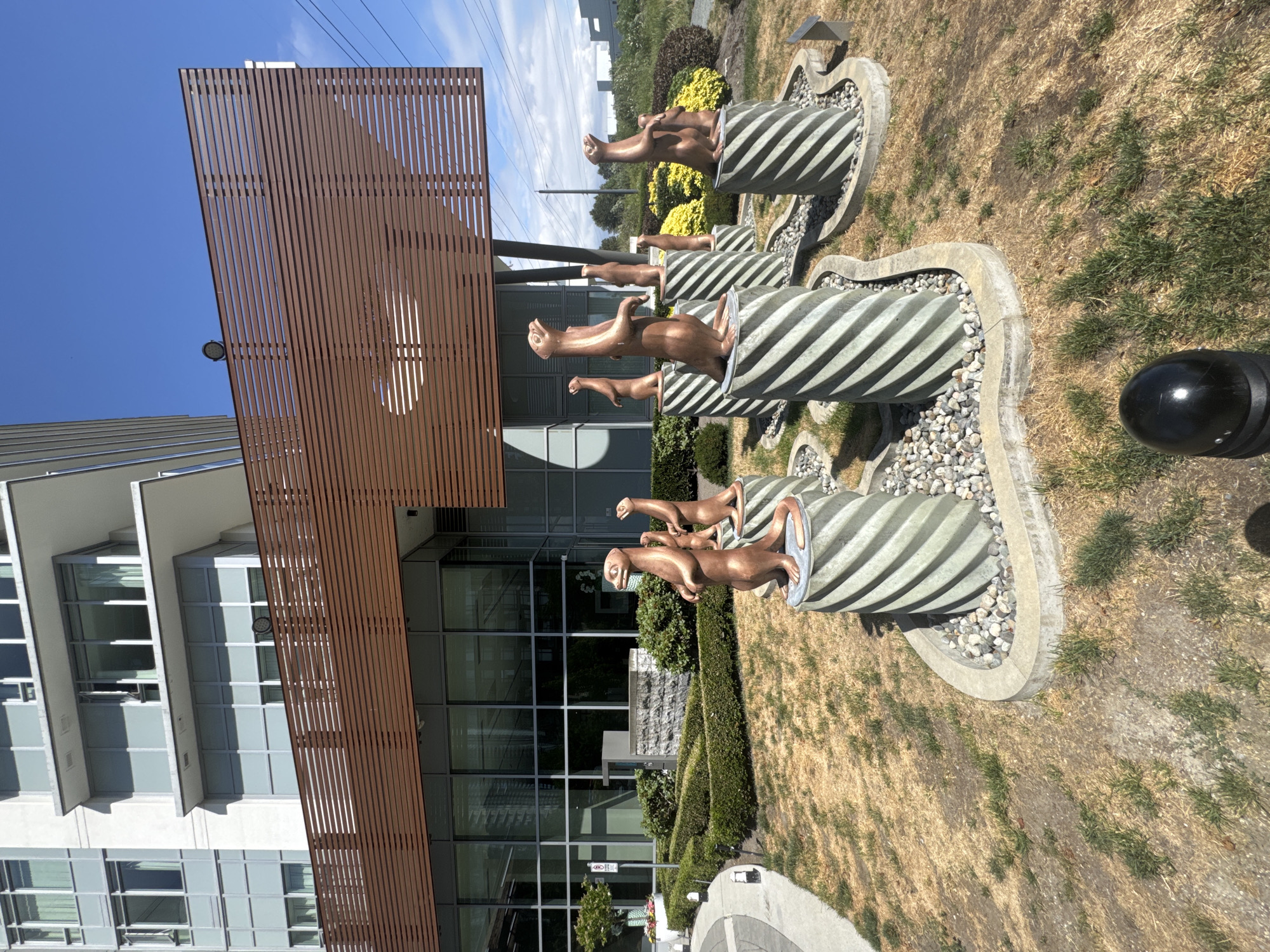 In Burnaby, Canada, a modern building with a glass facade and horizontal wooden accents features an outdoor art installation. Several bronze statues of otters, each standing on a spiraling pillar, are arranged in a landscaped area. The ground is covered in dry grass and decorative stones, with trimmed hedges and some flowering bushes in the background. The sky is clear blue with a few wispy clouds.