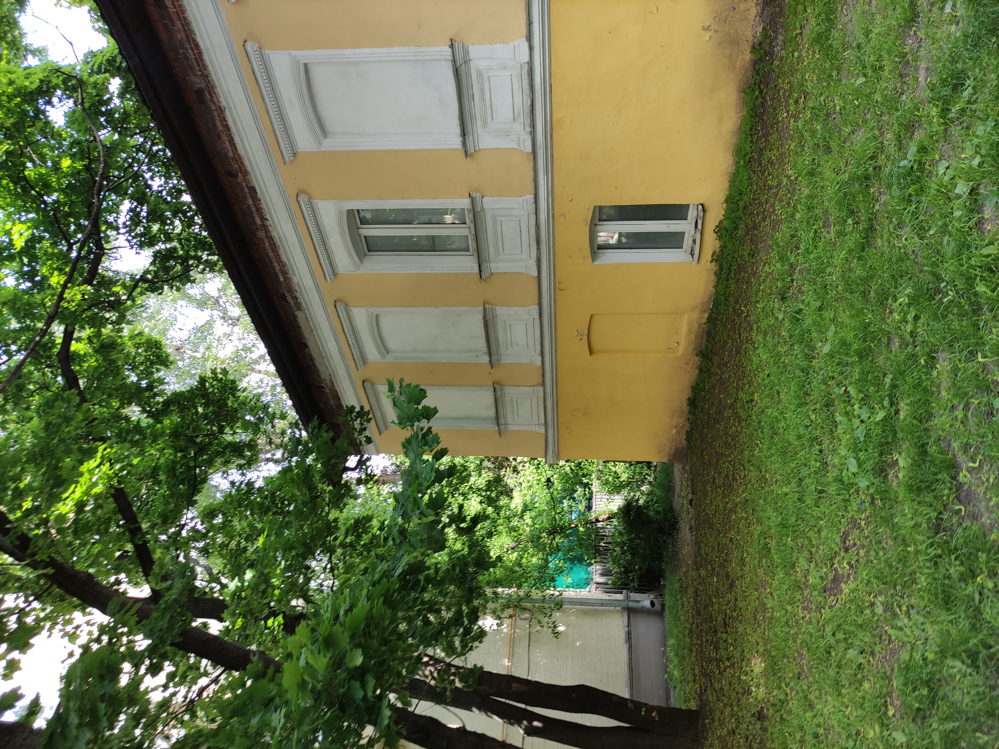 A low-angle, landscape-oriented photograph captures a corner of a yellow building next to lush green vegetation. The building is a two-story structure with white-framed windows. The second story features two windows with decorative white trim around them, while the ground floor has a single, smaller window. The building's corner is adjacent to an area covered with grass and foliage. A large tree is visible on the left, with its branches and leaves partially obscuring the building and sky. Between the building and a white brick wall, there is a partially visible passage. The scene appears to be set outdoors in an urban environment.