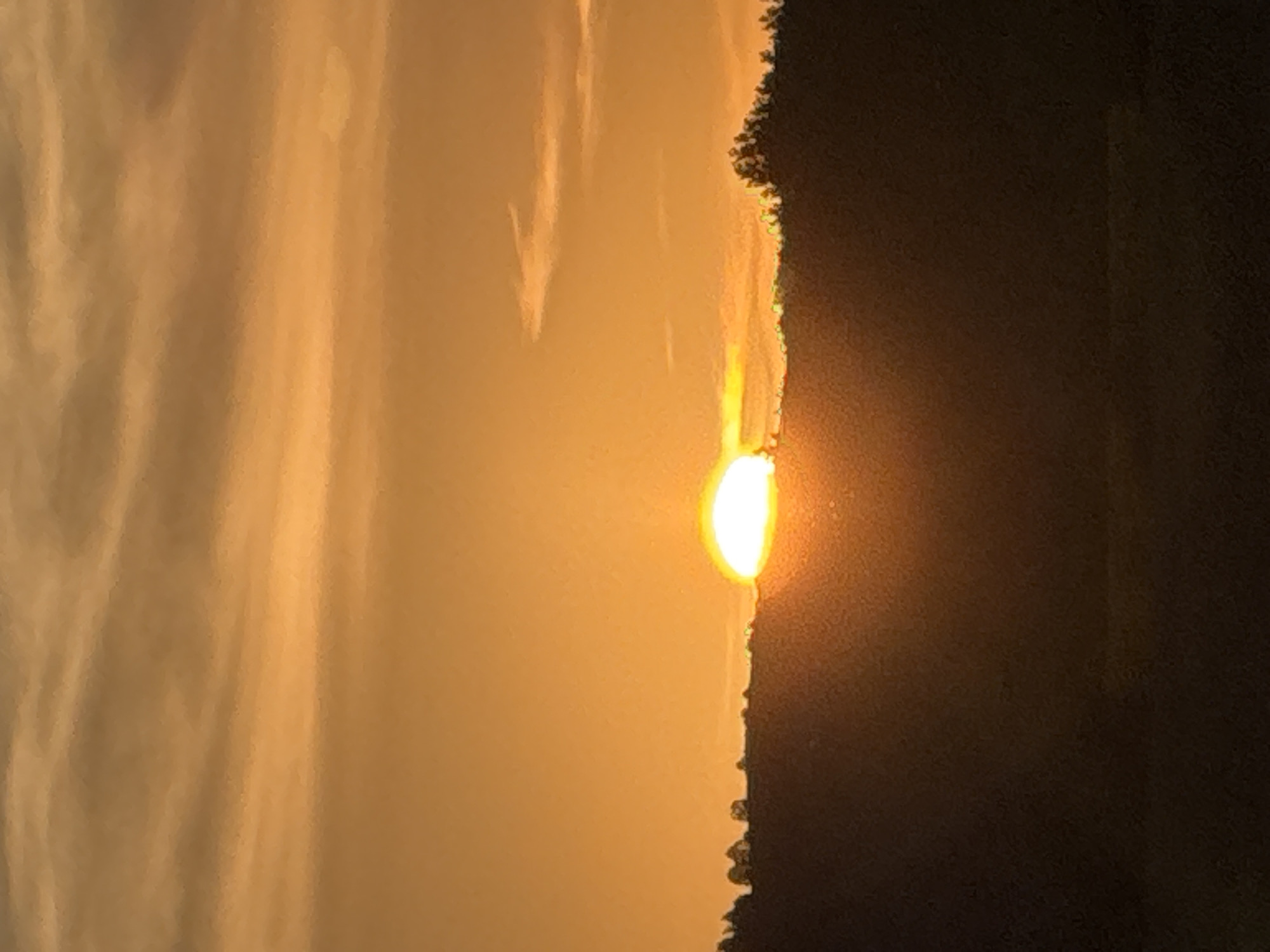 This image captures a sunset over a hilly landscape. The sun, a bright orb, is partially visible on the horizon, casting a warm orange glow across the sky. The sky is filled with soft, horizontal clouds that are tinged with the same orange hues. Below the sky, a dark silhouette of a hill or treeline stretches across the frame. The upper edge of this silhouette is dotted with the faint outlines of trees, suggesting a natural or rural environment. The overall impression is one of a peaceful evening scene. The image is set in Noevtsi, Bulgaria.