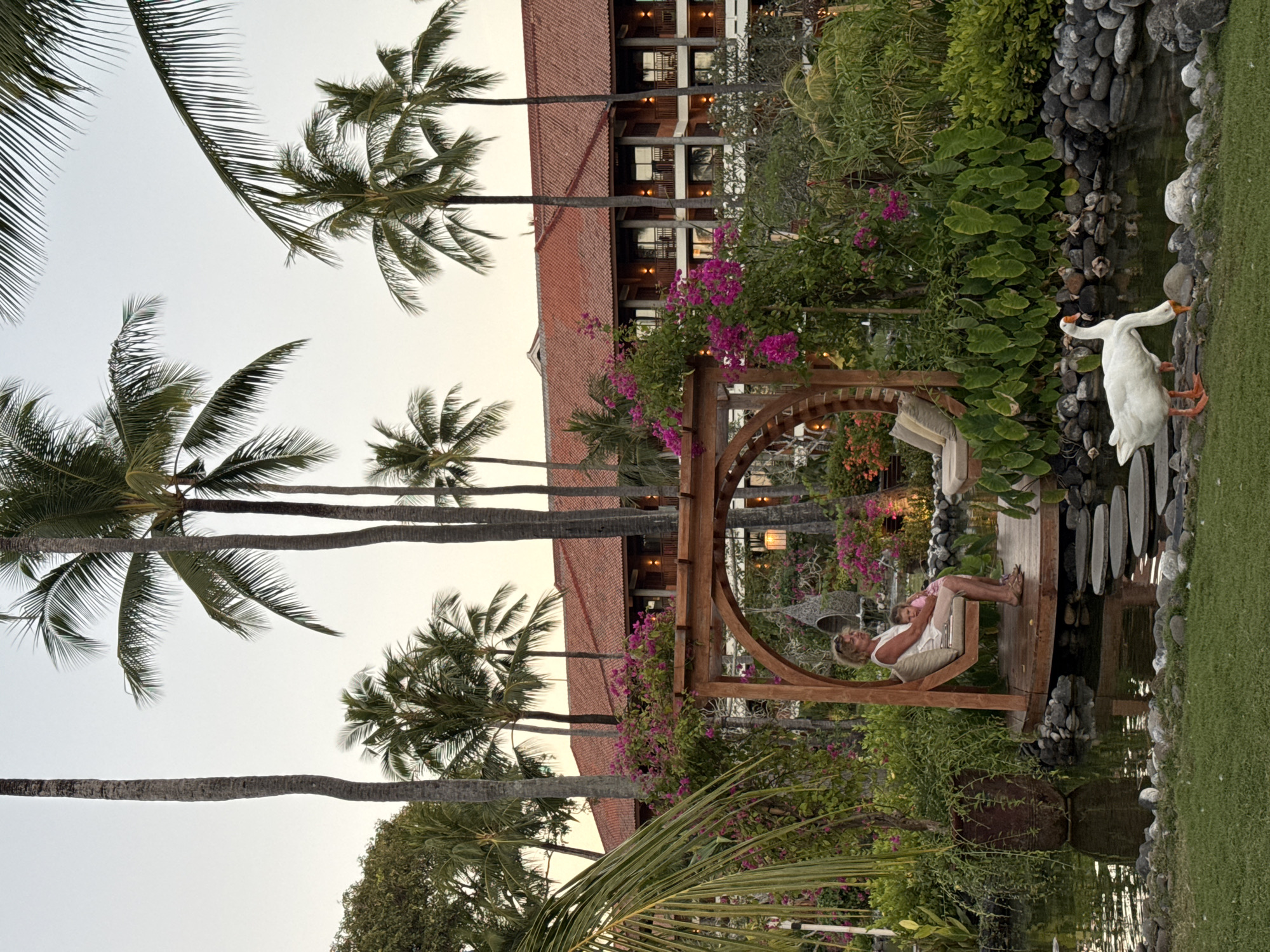 The photograph shows an outdoor scene near a building with a red-tiled roof, possibly a resort or hotel, in Kuta Selatan, Indonesia. Tall palm trees are visible, with their trunks reaching towards the sky.
In the foreground, a wooden structure resembling an arbor or pergola is positioned beside a body of water, which appears to be a pond or small lake. A woman is seated in the structure, facing away from the viewer. Next to the pond, on the right side of the frame, there are two white ducks. The area is decorated with plants and flowers, creating a garden-like setting.