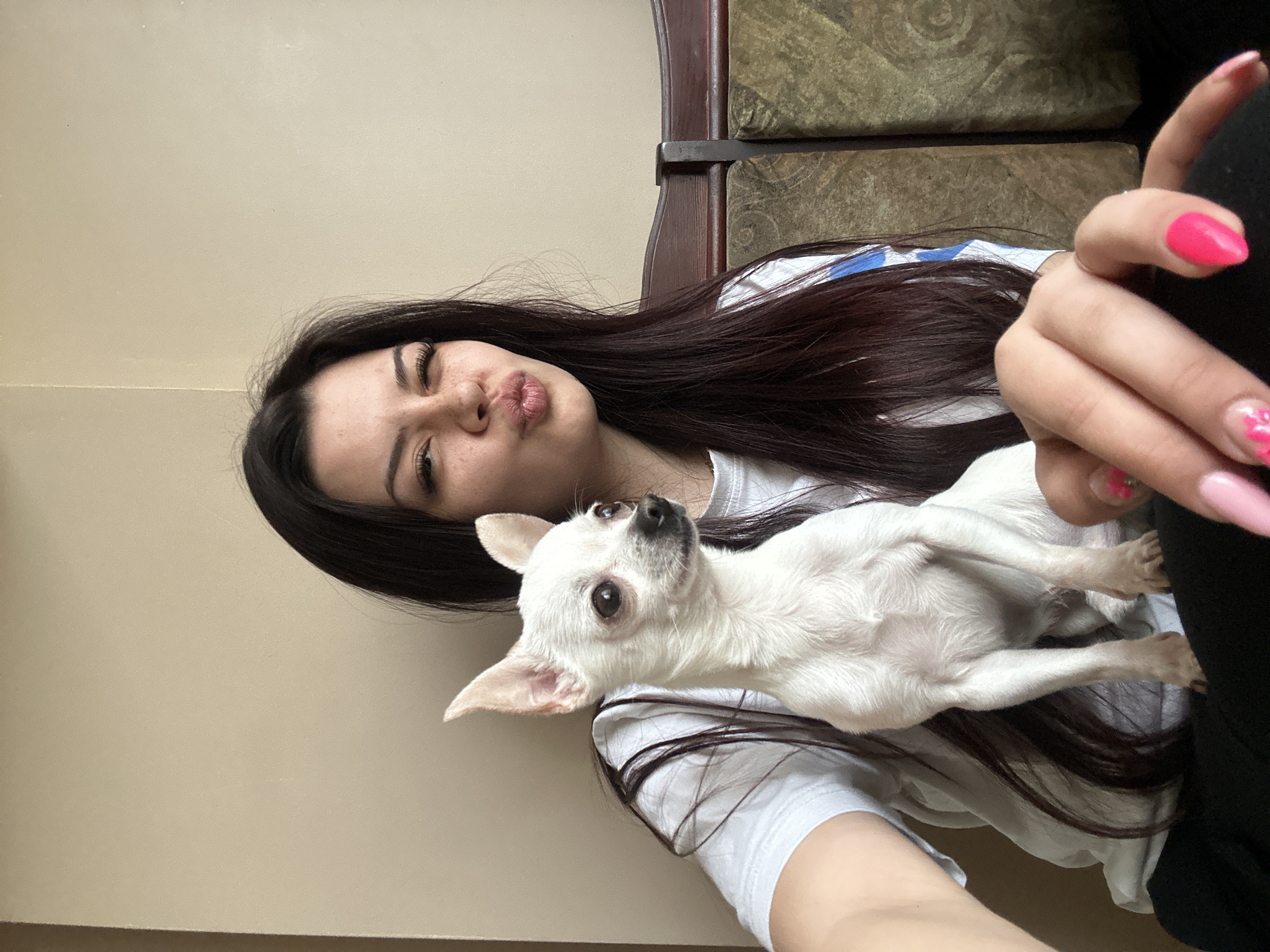 A young woman with long, dark hair and fair skin is holding a small, white Chihuahua dog. She has on a white t-shirt and is pursing her lips as if she is posing for a selfie. Her nails are painted in shades of pink. The background features a beige wall and the corner of a dark brown chair. The location is likely indoors, but not in Sliven, Bulgaria, as there is no information to suggest this.