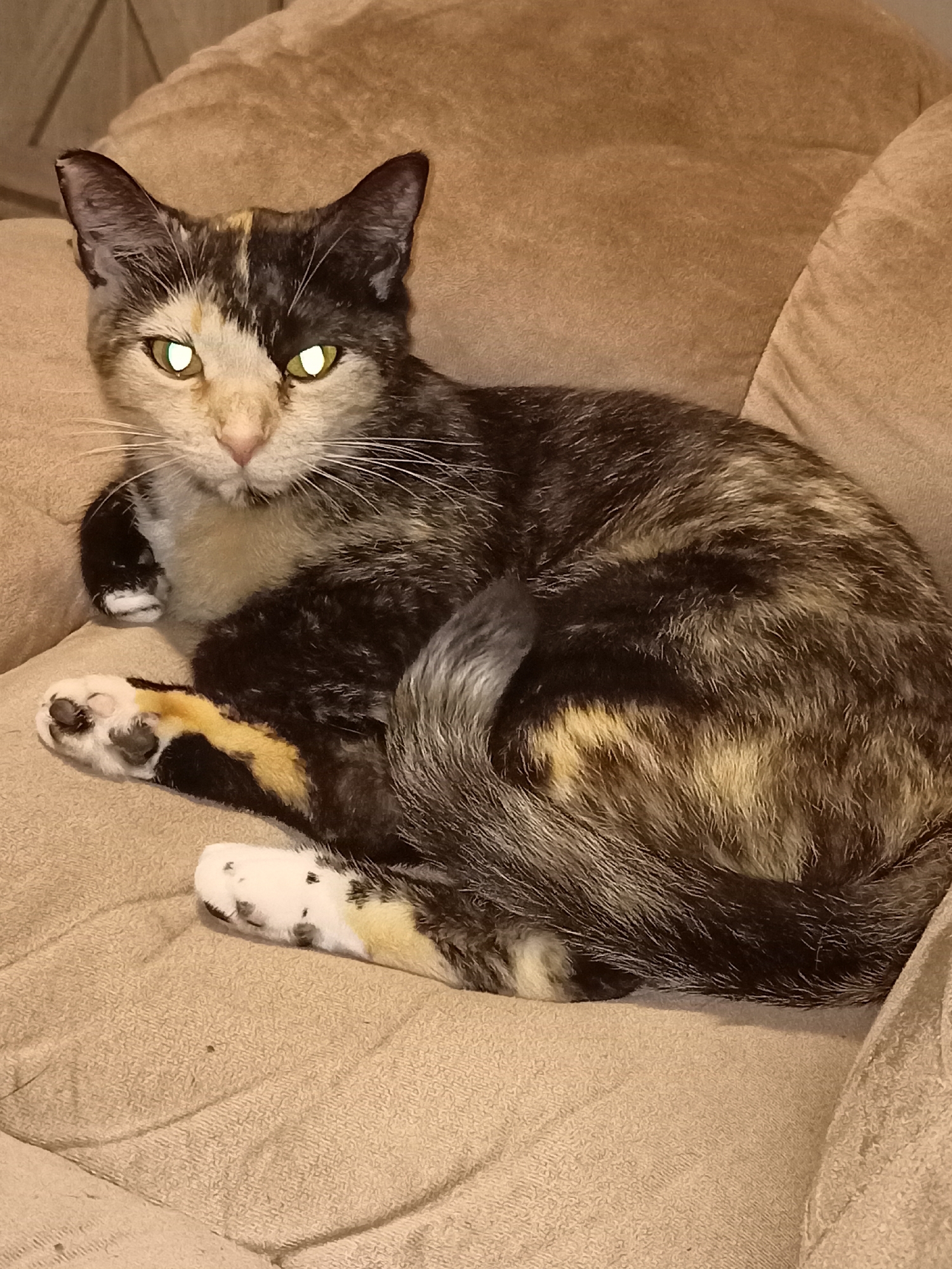 A calico cat with bright green eyes is resting on a tan couch. The cat is facing the camera and appears to be looking directly at it. Its fur is a mix of black, white, and orange patches, and its tail is curled around its body. The couch is upholstered in a textured fabric and appears to be in a home environment. The overall lighting is dim, suggesting it might be nighttime or an indoor setting with low light. The image was taken in Amarillo, United States of America.