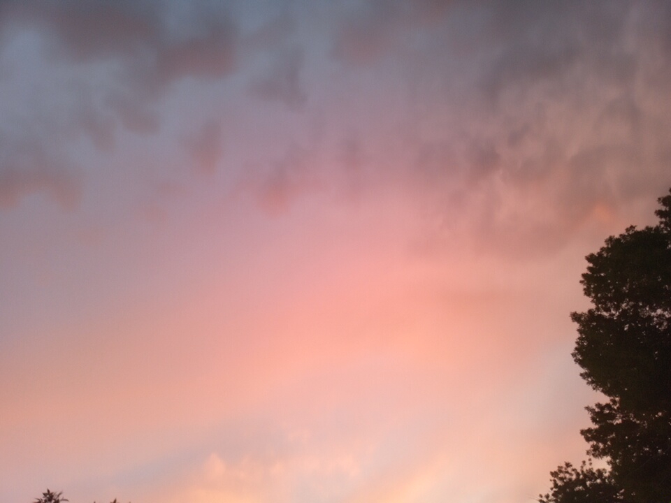 The media file depicts a sky at sunset, with a gradient of colors ranging from soft pink and orange in the lower half to muted blues and grays towards the top. Dark silhouettes of trees are visible in the foreground, framing the lower edges of the image. The clouds are wispy and diffused, catching the light from the setting sun and creating a warm, hazy atmosphere. The overall mood is serene and tranquil, characteristic of a peaceful evening. The image does not contain any visible text or people. The location is specified as Angren, Uzbekistan.