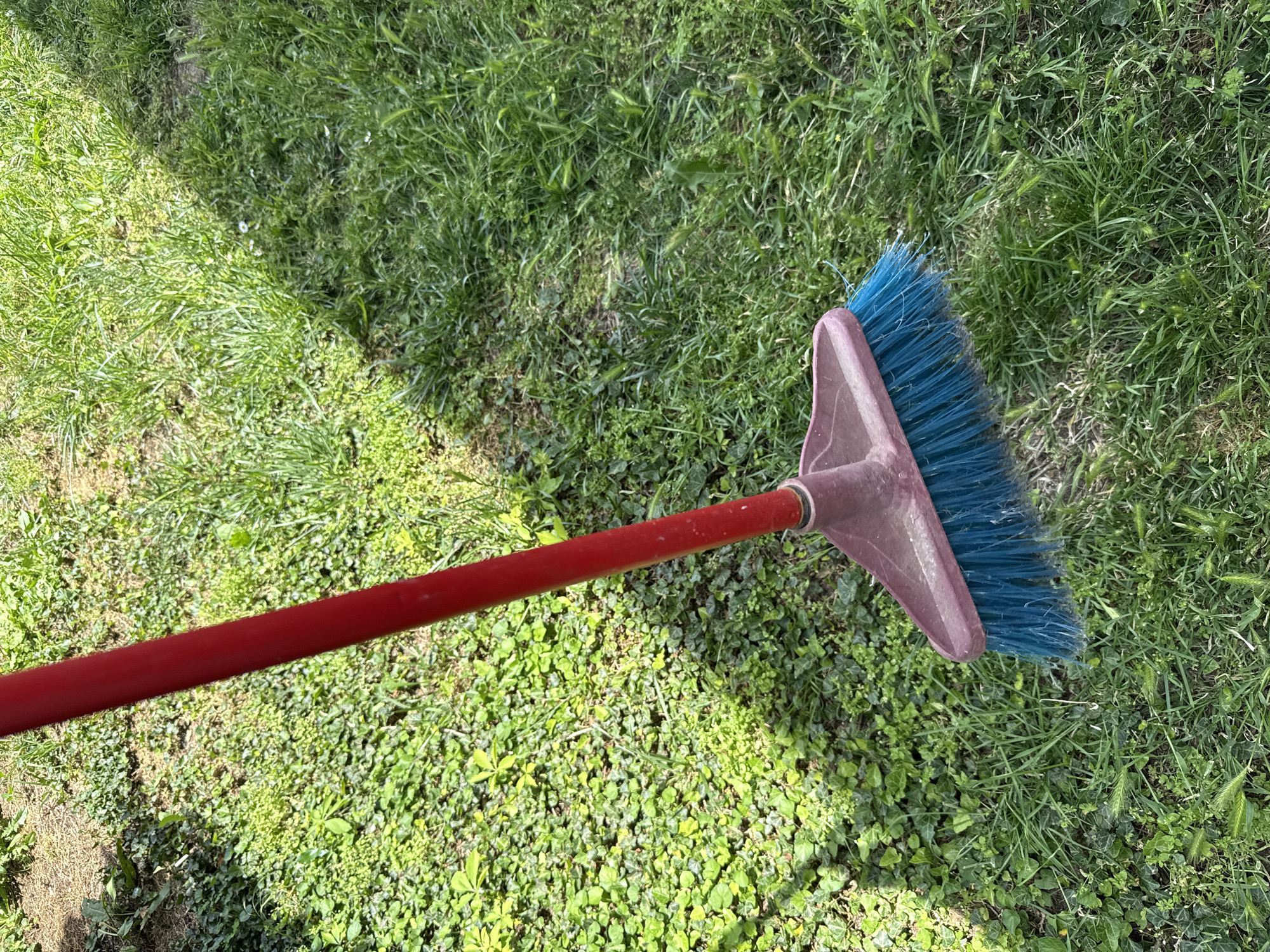 A red-handled broom with a blue brush head lies on a patch of grass and green ivy. The broom is angled from the upper left to the lower right of the frame. The background consists of dappled sunlight on green grass and low-lying green ivy ground cover. The scene is outdoors, likely in a yard or garden. No people are visible.