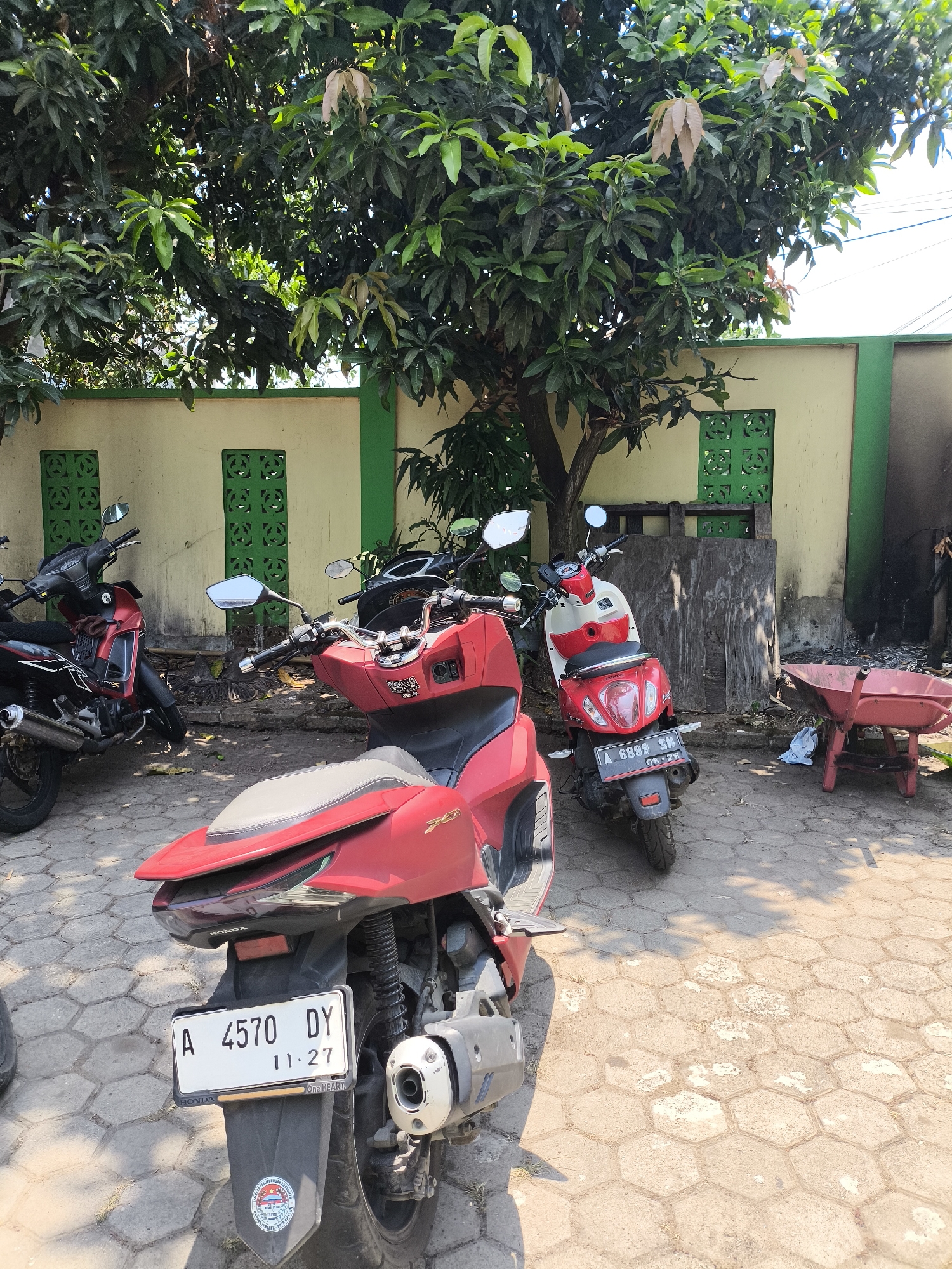 In Cilegon, Indonesia, a sun-drenched outdoor scene features three red and white scooters parked on a hexagonal brick-paved surface. A large tree with dense green foliage shades part of the area, casting dappled sunlight. Behind the scooters, a light-colored wall with green trim and decorative green latticed windows forms the backdrop. To the right, a red wheelbarrow stands empty. The scooters are the primary subjects, with one in the foreground displaying a license plate that reads "A 4570 DY 11-27". Another scooter, partly visible to the left, is predominantly red with black accents. A third scooter, positioned further back and to the right, is red and white, with its license plate reading "A 6899 SH 08-26". The environment suggests a storage area or a yard in a residential or commercial property.