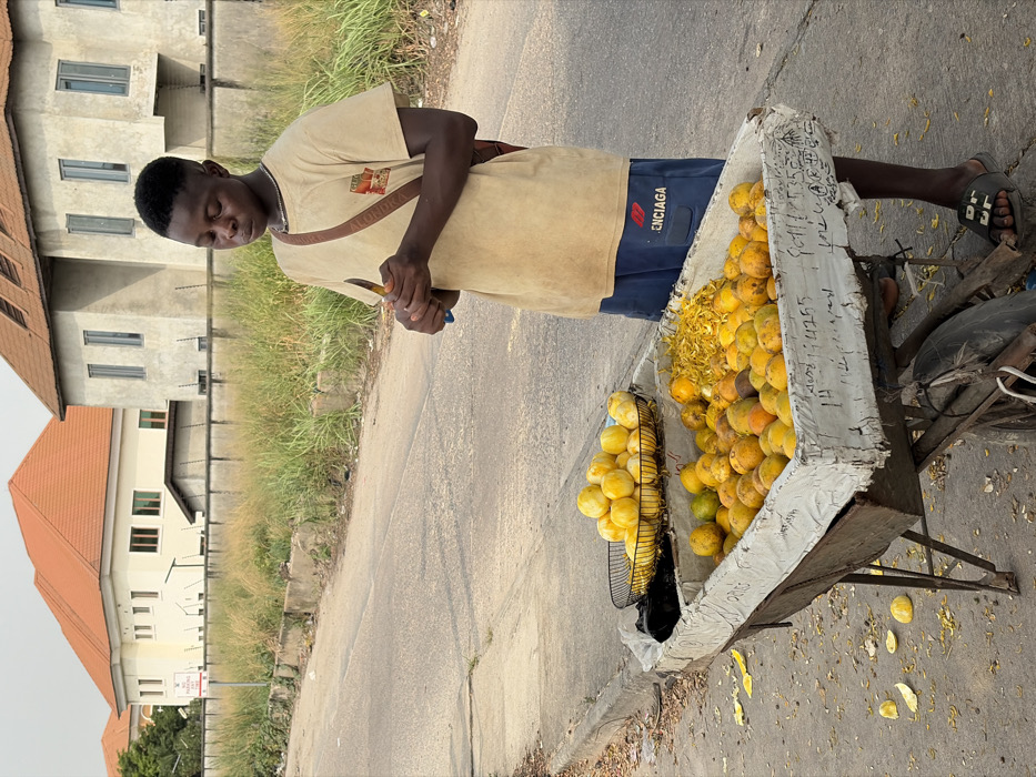 The scene depicts a street vendor operating a fruit stand on a paved road in Igboefon, Nigeria, under natural daylight. A dark-skinned male, appearing to be a young adult, stands behind a modified wooden wheelbarrow-style cart, which functions as his sales display. He wears a beige short-sleeved t-shirt with a graphic, dark blue shorts with "BALENCIAGA" printed on the left leg, black slide sandals, a silver-colored neck chain, and a brown sling bag. His eyes are partially closed, indicating focus or concentration. He holds a knife in his right hand and appears to be preparing or peeling a small, unidentifiable object held in his left hand.
The cart's main compartment is filled with numerous yellow and orange-colored fruits, resembling oranges or tangerines, along with a pile of fresh yellow fruit peels. A black wire mesh basket sits atop the cart, containing additional yellow fruits, some of which appear already peeled. Scattered yellow fruit peels are visible on the asphalt ground around the cart. The road surface is grey asphalt with visible cracks, bordered by a concrete curb and a strip of dry, tall grass.
In the background, two multi-story residential buildings are visible. The building to the left is cream-colored with a terracotta-tiled roof and multiple windows. The building to the right is grey, with a similar terracotta roof and narrow, vertical windows. Both properties are secured by walls topped with barbed wire. A white sign with red text, partially obscured but showing "PARKING," stands on a pole to the left of the scene.