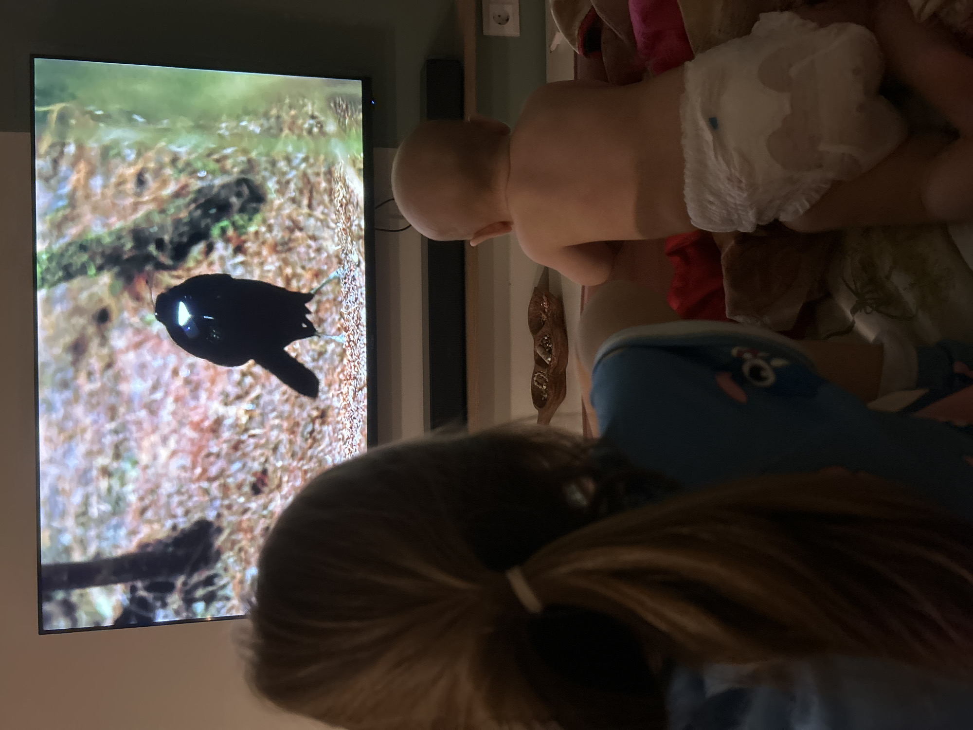 The image shows a television displaying a nature scene with a black bird in the foreground. A young child wearing a diaper is next to the television and an older child with brown hair pulled back in a ponytail is in the foreground of the image. The environment suggests a home setting. The image contains no information that indicates the location in the city of Moscow, Russia.