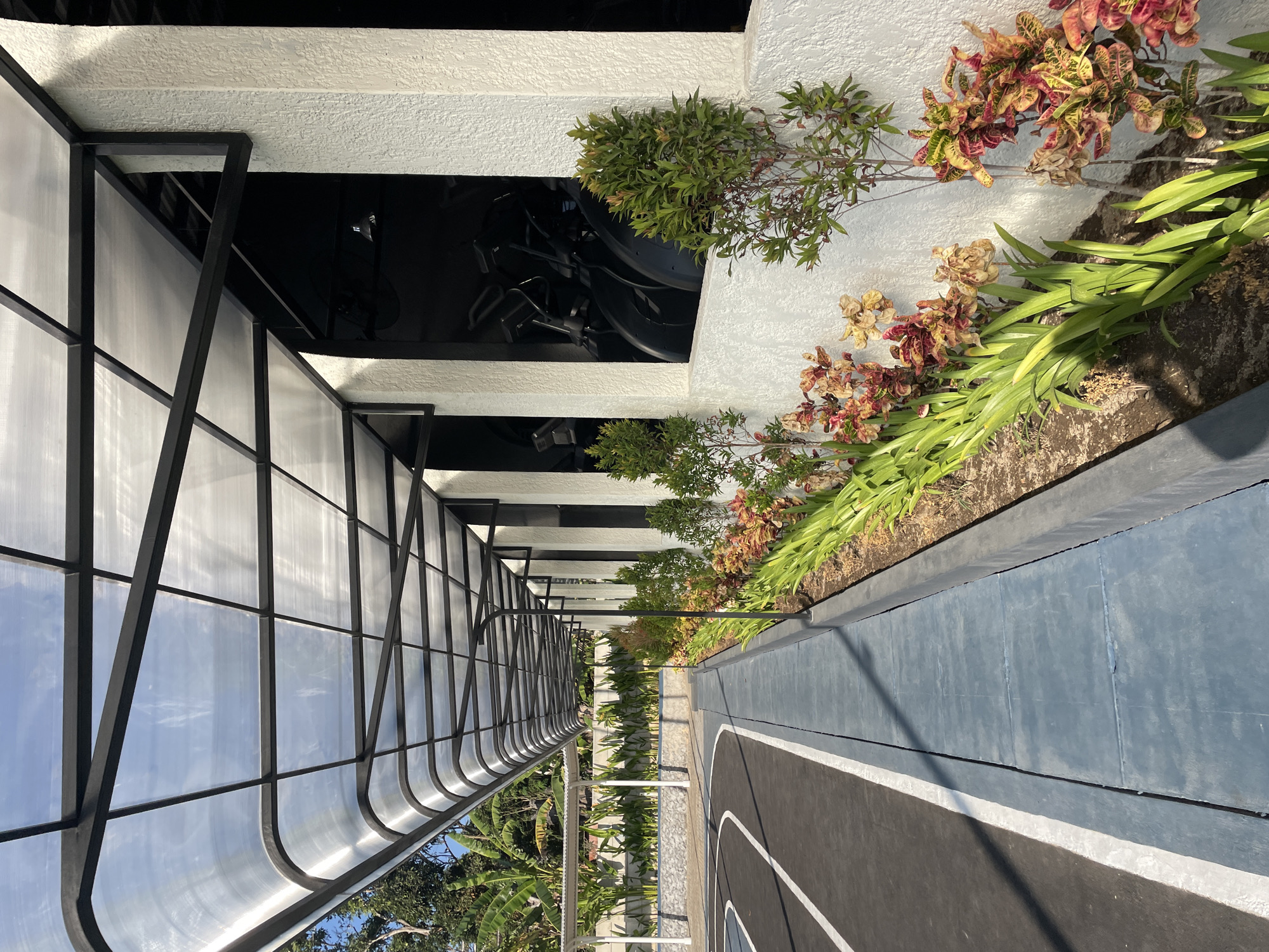 An outdoor gym area in Kuta Selatan, Indonesia, is depicted, featuring a covered walkway with a transparent corrugated polycarbonate roof supported by a black metal frame. The walkway runs alongside a white textured wall and overlooks a black asphalt sports court marked with white lines, suggesting a basketball or similar court. To the right of the walkway, a row of exercise bikes is visible through large, dark-tinted windows in the white wall. A garden bed with lush green plants and colorful foliage, including what appears to be croton plants, is situated between the walkway and the wall. In the background, tropical foliage and a distant building can be seen. The sun is shining, casting shadows on the court and walkway, indicating it is daytime. There are no people visible in the image.