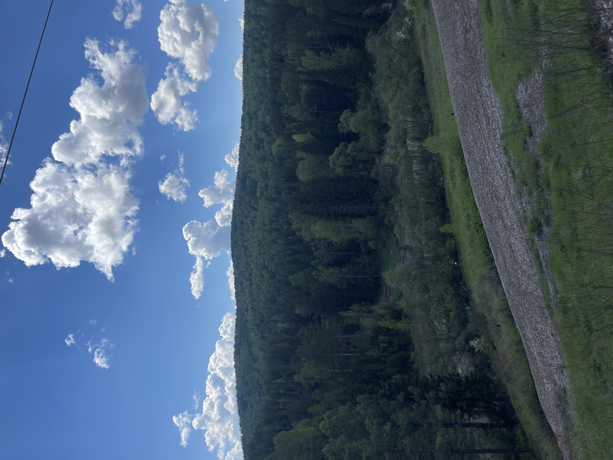 The image shows a landscape scene in Minino, Russia. The sky is bright blue with cumulus clouds scattered across it. Below the sky is a dense forest of green trees covering a hillside. To the right of the forest is a path or road, grey in color, running parallel to the tree line. The landscape appears to be captured on a sunny day. There are no people visible in the image.