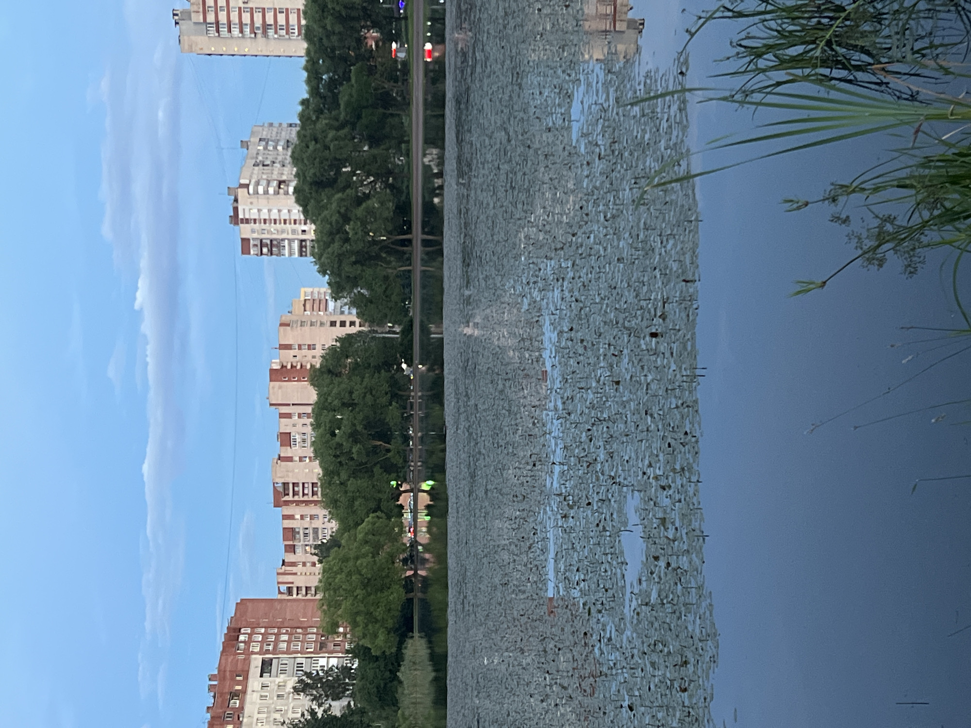 The image depicts a waterfront scene in Irinovka, Russia, likely during the evening as indicated by the soft, diffused light and the presence of lights reflecting on the water. The main subjects are a row of tall, multi-story apartment buildings lining the left side of the frame, interspersed with lush green trees. These buildings appear to be constructed with concrete and feature numerous windows.
On the right side of the frame, a body of water dominates the view. It is covered in a dense carpet of lily pads, with some scattered reflections of the sky and surrounding vegetation. A few blades of tall grass or reeds are visible along the edge of the water, adding a natural element to the urban landscape.
The overall scene suggests a residential area with a park or natural water feature. The reflection of colorful lights on the water's surface, possibly from streetlights or signs, hints at the presence of a walkway or road adjacent to the buildings and the water. The sky is a pale blue with some wispy clouds, suggesting clear weather. There is no visible text in the image. The mood conveyed is one of calm and quiet evening ambiance, a blend of urban development and natural beauty.