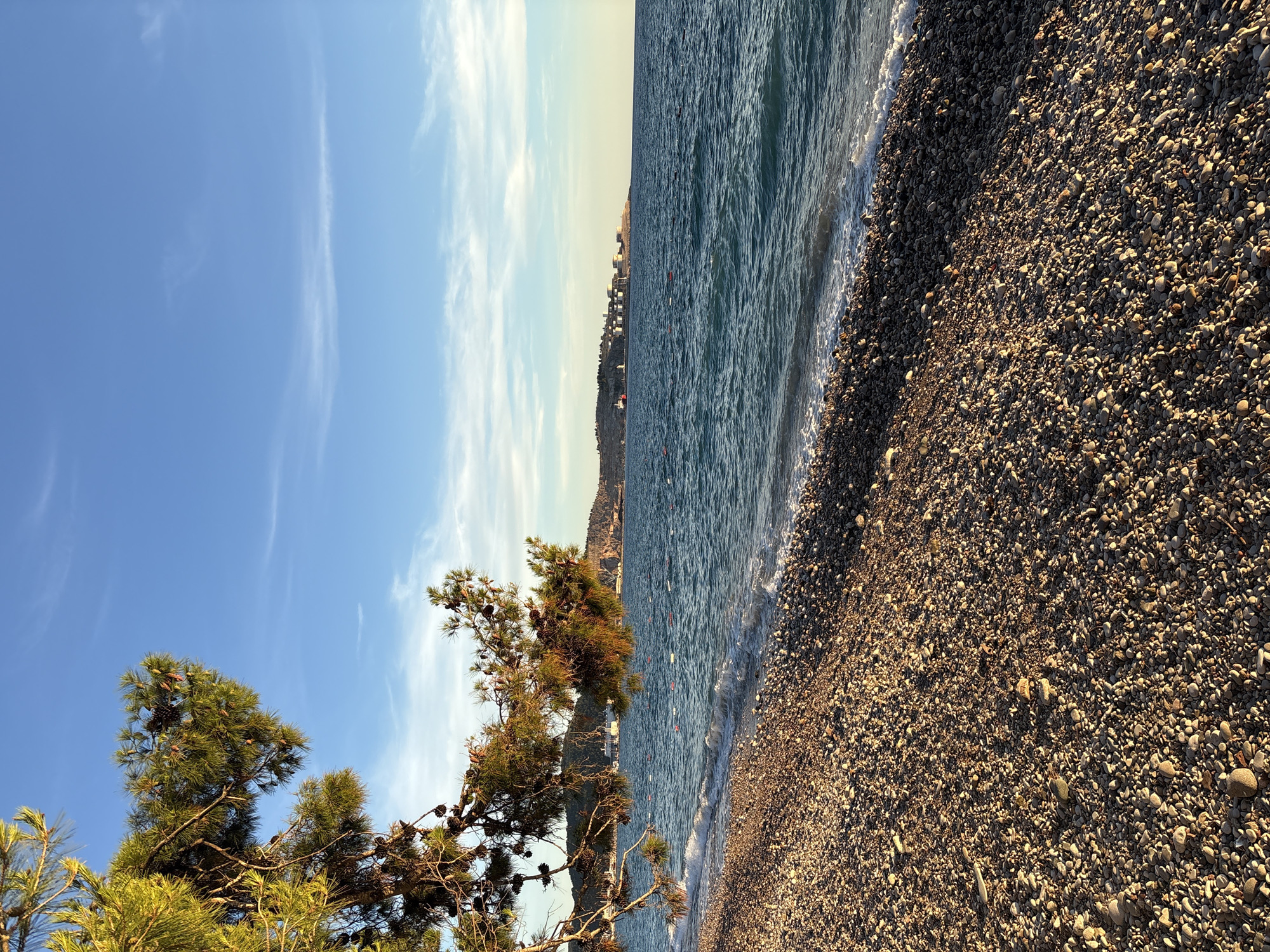 The image depicts a pebble beach in Bar, Montenegro, with the Adriatic Sea in the foreground and a town on the horizon. A pine tree branch with pinecones hangs into the frame from the upper left. The sea is a deep blue with gentle waves lapping the shore. In the distance, a coastal town with buildings and industrial structures is visible on a hill. The sky is a clear blue with a few wispy white clouds. The sun is low in the sky, casting long shadows across the beach and illuminating the pebbles with a warm, golden light. Several buoys are visible in the sea, marking a swimming area. The overall scene conveys a sense of tranquility and natural beauty, characteristic of a Mediterranean coastal landscape.