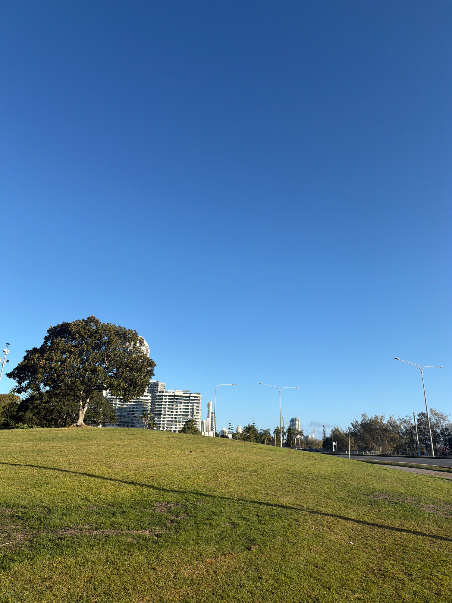 This is a low-angle, wide shot of a grassy hill in Main Beach, Australia, under a clear blue sky. In the foreground, the manicured green grass slopes upward from the lower left to the middle right of the frame, casting long shadows from unseen objects. A large, mature tree with a thick canopy dominates the left-middle ground. Behind the tree, several modern, multi-story buildings with white facades and numerous balconies are visible. A road runs along the right side of the image, with streetlights lining its edge. The background shows more trees and buildings, suggesting an urban environment. No people or animals are present in the scene.