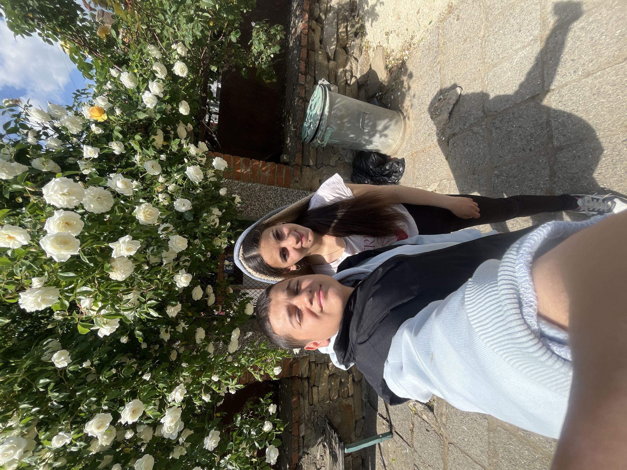 The image shows two individuals, a male and a female, lying on a paved surface. The female is behind the male. Both are facing the camera. Next to them is a large bush of white roses with one yellow rose. Behind the bush is a brick and stone wall with a metal trash can next to it. The shadow of an arm holding a phone is visible on the pavement. The location is Lozarevo, Bulgaria.