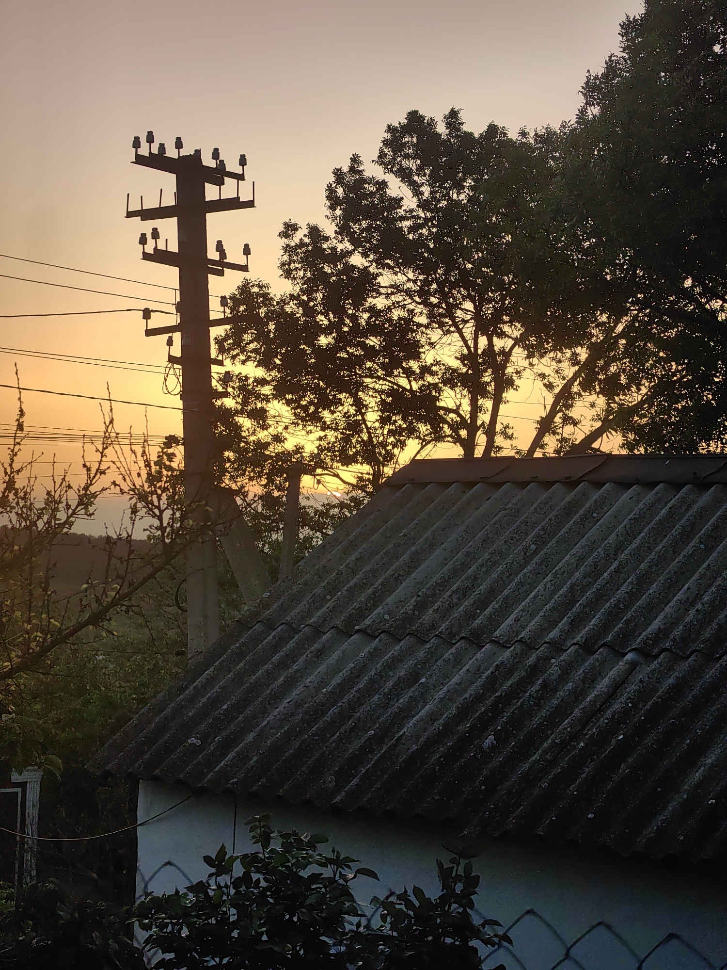 The image shows a rural scene at dusk, possibly in Зуйское сельское поселение, Ukraine. A building with a gray, corrugated roof is in the foreground. Behind the building, there's a telephone pole with several horizontal crossarms and electrical insulators, carrying power lines. Silhouette of trees is prominent, with a golden sunset visible through their branches. Other vegetation, including smaller trees or bushes, is visible along with a partially visible chain-link fence. The sky shows a gradient of colors from orange to lighter shades.