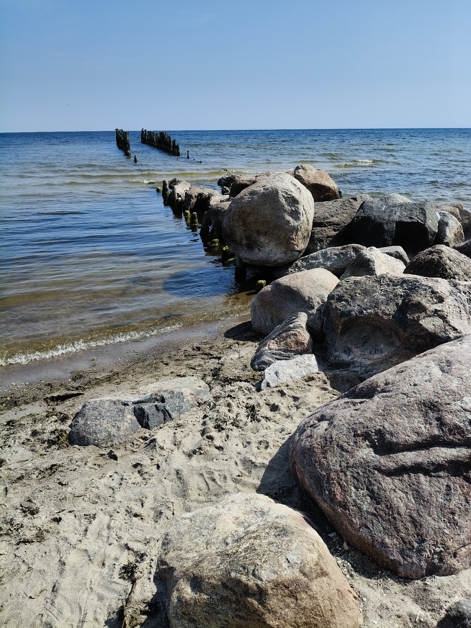 The image depicts a serene beach scene at Bigauņciems, Latvia. The foreground is dominated by a sandy beach covered in scattered rocks and seaweed. The midground showcases a collection of large, weathered boulders near the water's edge. In the background, a line of old wooden pilings stretches into the calm, blue sea, with a few birds perched on them. The sky above is a clear, cloudless blue. The overall impression is one of a quiet, natural coastal environment.
