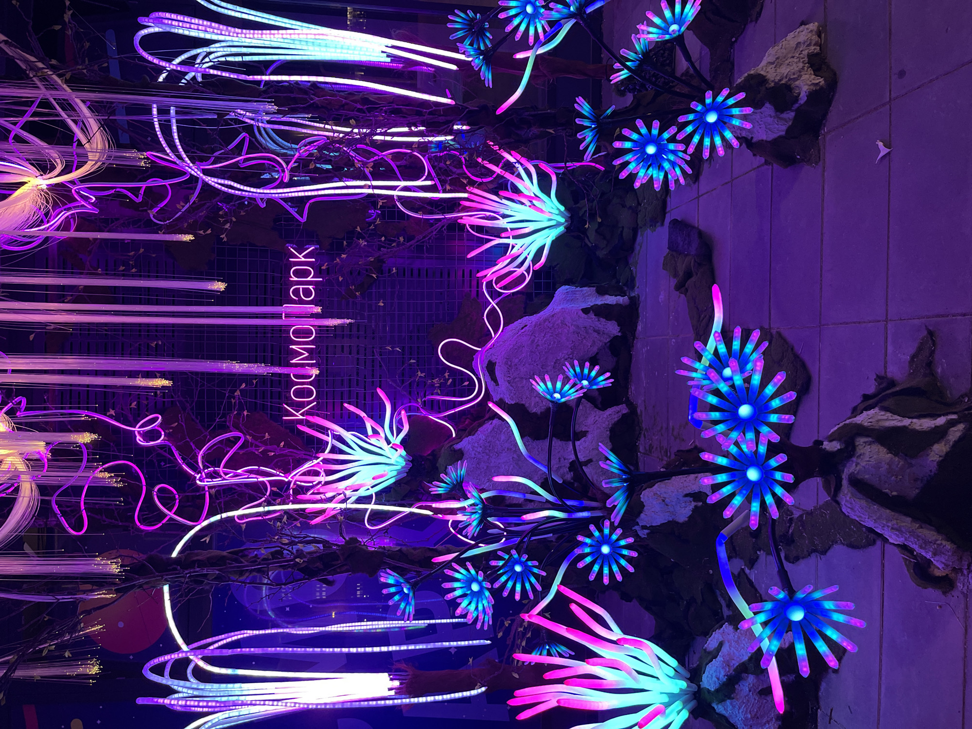 The image shows an outdoor nighttime art installation featuring vibrant neon lights and fiber optic elements. The installation appears to be a fantastical garden or forest scene. Numerous flora-like structures made of glowing tubes and fibers are arranged throughout the space. These structures vary in shape and color, with prominent displays of bright blues, pinks, and purples. Some resemble glowing anemones or otherworldly flowers with radiating petals, while others are more abstract, like pulsating stalks. Interspersed among these are what look like trees, some adorned with neon light accents and hanging fiber optics that mimic glowing strands. In the background, a neon sign in Russian reads "Космопарк" (Kosmopark). The ground is paved with square tiles, and the overall lighting is dim, with the neon elements serving as the primary light sources, casting a colorful glow on the surroundings. The installation is located in the city of Blagoveshchensk, Russia.