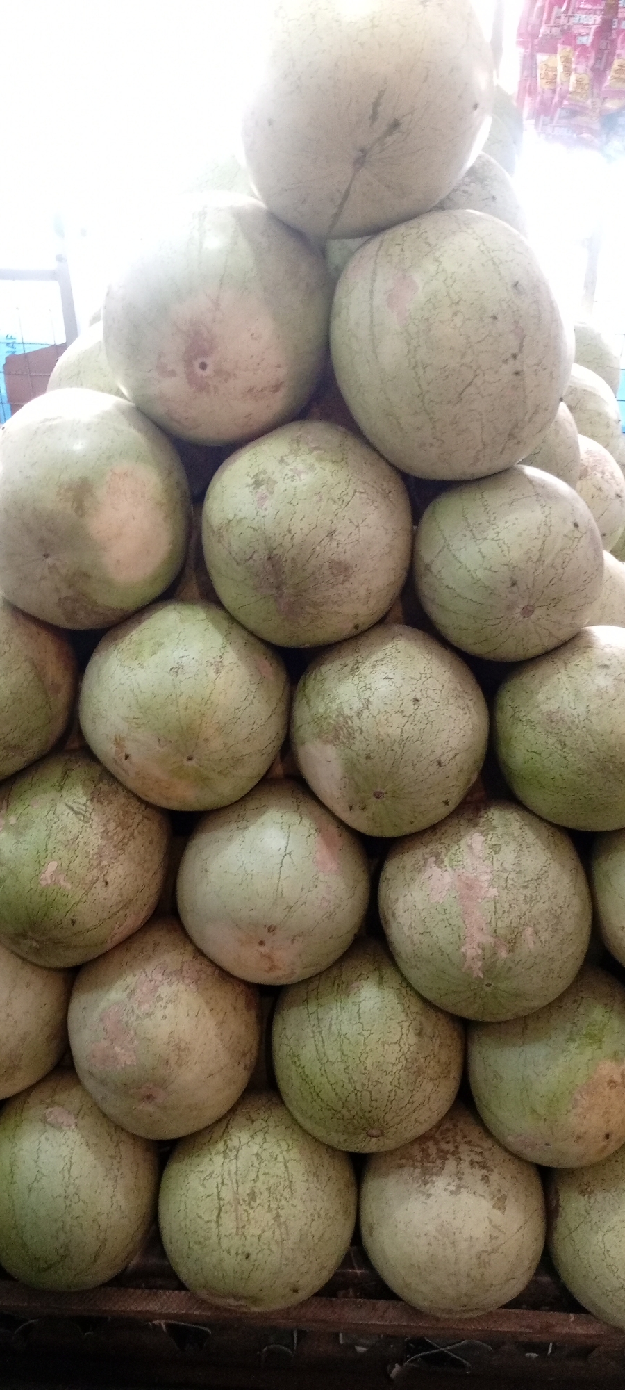 The image shows a close-up of a stack of unripe watermelons arranged in a pyramid shape. The watermelons are predominantly green with light streaks and a slightly dirty appearance. They are stacked on top of each other and appear to be resting on a wooden surface. In the background, indistinct items possibly related to a shop or store are visible. The location is assumed to be within the city of Gayawa, Nigeria.