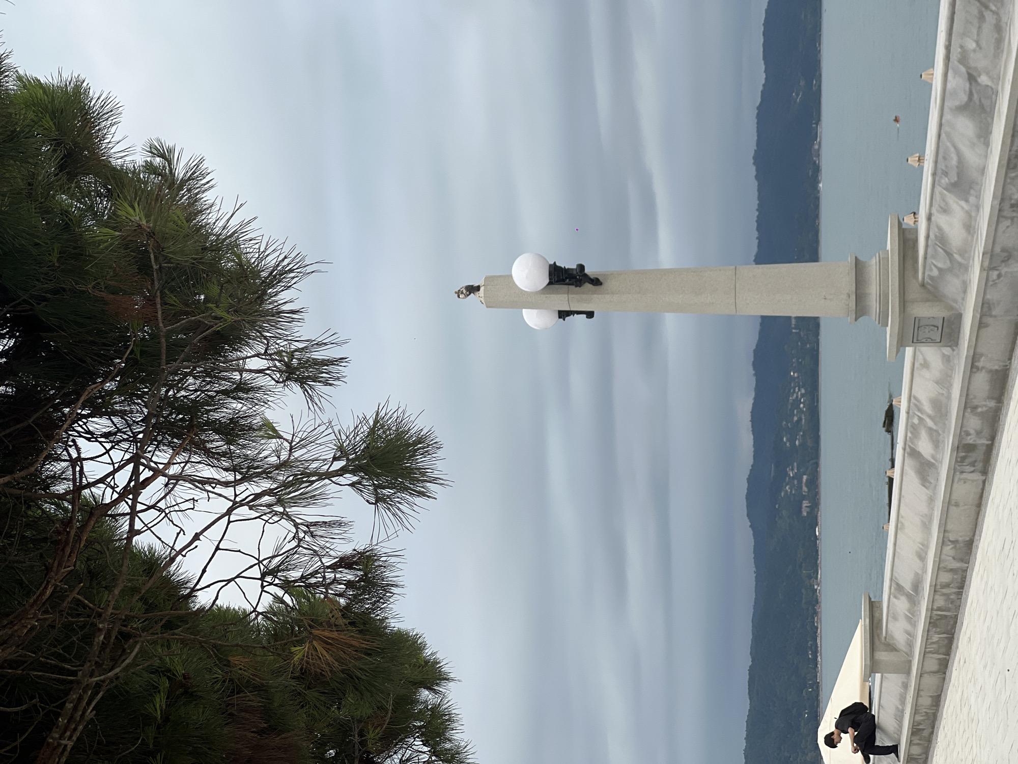 In Sokhumi, Abkhazia, an overcast sky looms over a serene coastal scene. A person wearing a black shirt and pants, carrying a backpack, is seated on a low concrete wall facing the sea. The wall is situated on a paved walkway that leads towards the foreground. In the midground, a tall, fluted concrete lamp post stands, topped with a small statue of a bird and two spherical white lamps. Beyond the wall and water, a lush green mountainside dotted with buildings rises, forming the backdrop to the city and sea. The calm, turquoise sea stretches towards the horizon, meeting the muted, cloudy sky. Pine branches hang from the top left corner of the frame, partially obscuring the sky.