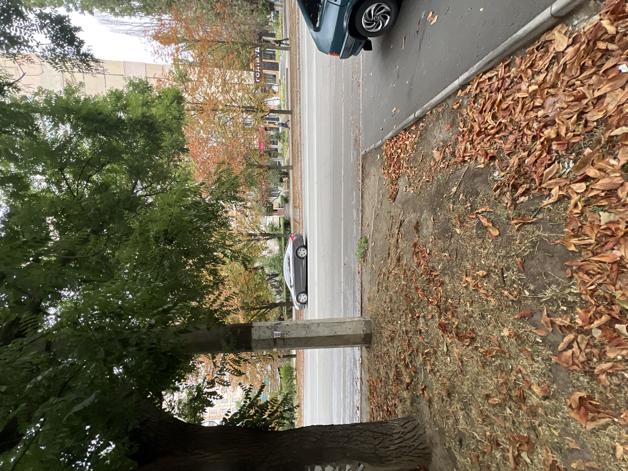 The image depicts a street scene in Odesa, Ukraine, during autumn. The foreground is dominated by a patch of dry grass and fallen leaves, with a large tree trunk on the left. A concrete pillar stands near the center of the foreground. Beyond this, a paved road runs horizontally across the image, with a gray sedan in motion on the right lane. The middle ground features a line of trees with foliage in various stages of autumn color, ranging from green to orange and red. Buildings with storefronts line the far side of the road. A teal-colored car is parked on the right side of the image, partially obscuring the sidewalk and street. The sky is overcast.