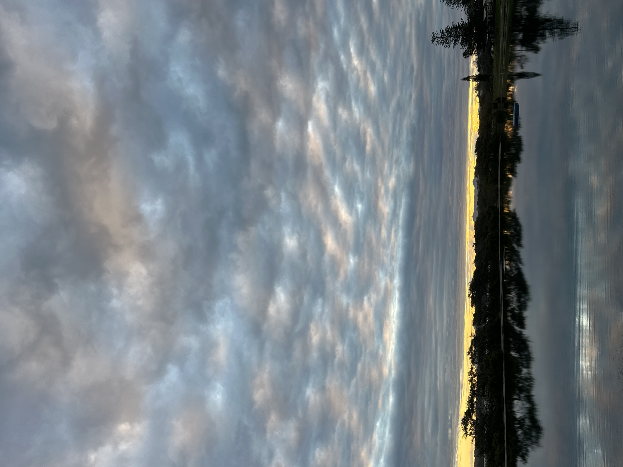 The image depicts a scenic view of the Nambucca River in Nambucca Heads, Australia, at what appears to be either sunrise or sunset. The sky is filled with a vast expanse of dramatic clouds, characterized by a mix of deep grays and lighter, almost pastel shades of pink and yellow where the light is breaking through. These clouds are textured and layered, creating a sense of depth and movement.
Below the sky, a dense line of dark green trees forms a silhouetted horizon along the riverbank. The trees are varied in shape and size, with some taller pines visible on the right side of the frame, suggesting a natural or parkland environment. In the water, a small, flat, dark blue object, possibly a floating platform or a small boat, is visible near the center. The calm surface of the river acts as a mirror, reflecting the tree line and the dramatic sky, creating a symmetrical composition. The water's surface is smooth with subtle ripples, reflecting the light from the sky in horizontal streaks. The overall atmosphere is serene and tranquil.