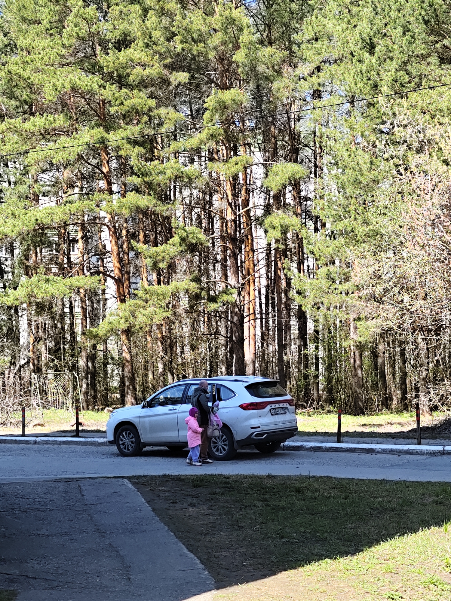 The photograph shows a man and a young child near a white HAVAL car with license plate C384CB 159. They are standing on a paved area adjacent to a road. Beyond the road, there is a grassy area and a dense collection of coniferous trees. A building is partially visible through the trees. The location is identified as the city of Chaikovsky, Russia. The man appears to be interacting with the child, who is wearing a pink coat. The car is parked near the edge of the pavement.