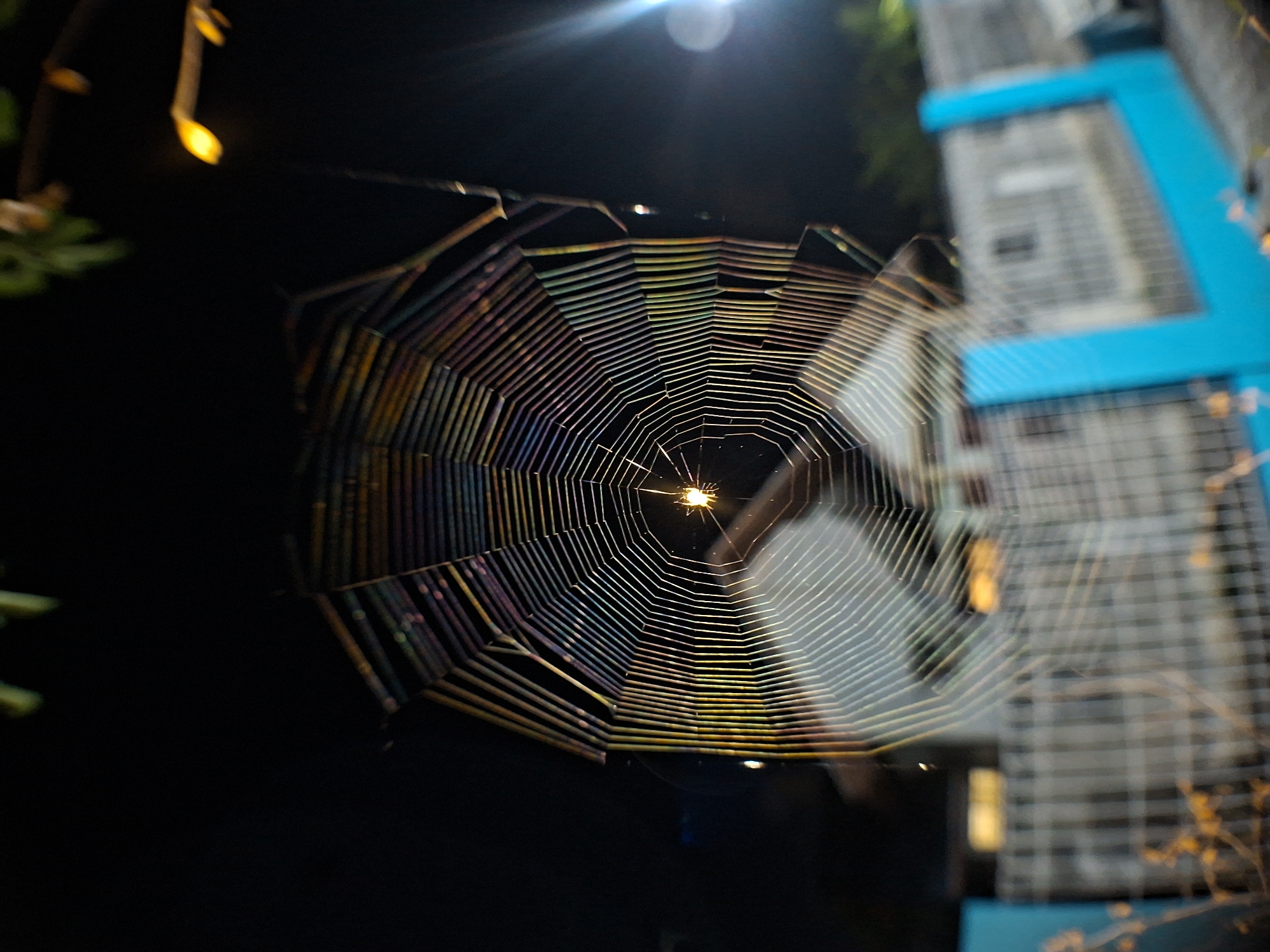 A spider web is illuminated against a dark background. The web has a radial pattern with concentric circles, and a light source at the center of the web creates a starburst effect. The web is attached to a building with blue trim and a gray, grid-like facade. The scene is likely in Lhokseumawe, Indonesia, though no elements in the image offer specific evidence of this location. There are also faint lights in the upper left.