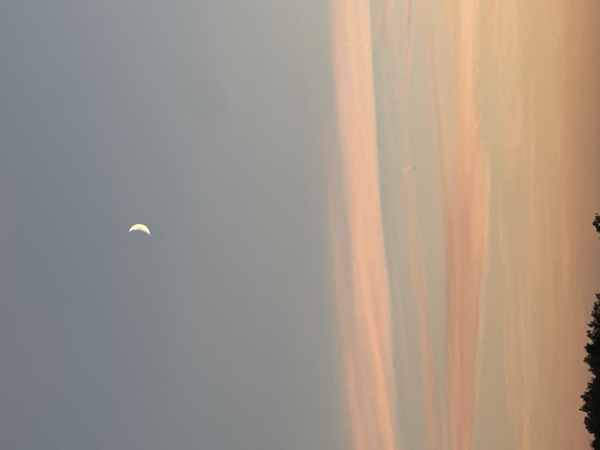 The image is a vertical, medium shot of a crescent moon high in a twilight sky. The sky is a gradient of pale blue at the top, transitioning to soft pink and orange hues towards the horizon. Streaks of pink clouds are visible across the middle of the frame. The bottom of the image features a dark silhouette of a tree line, suggesting a natural landscape. The scene is static and devoid of any human presence or activity. The location is specified as Unknown, Unknown.