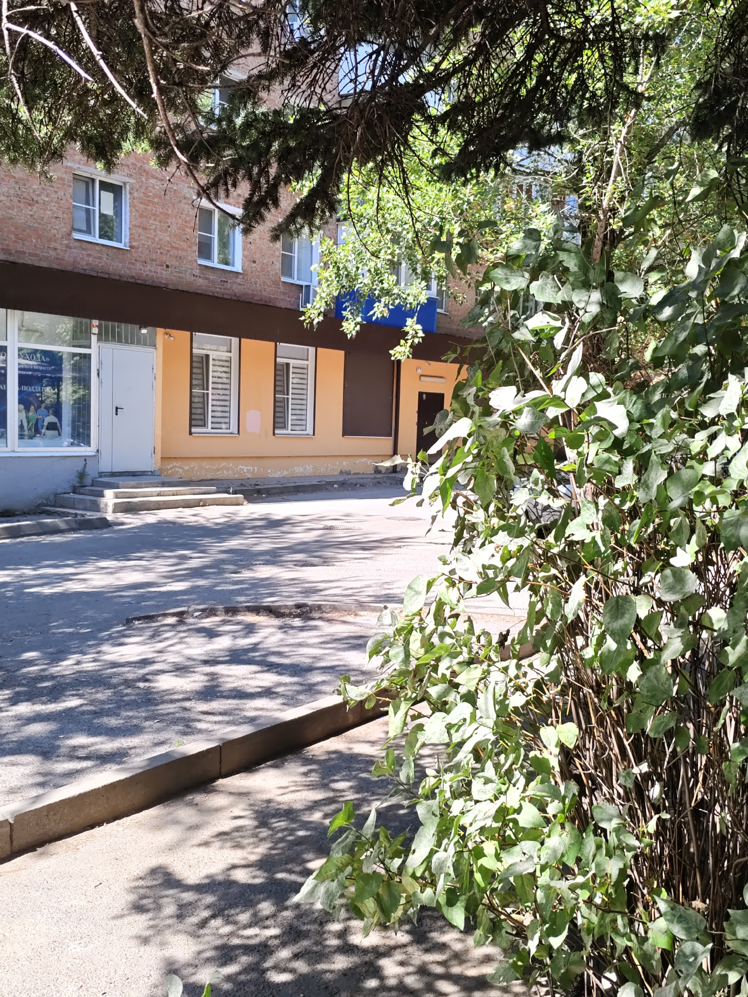 The image shows a section of a building exterior in Rostov-on-Don, Russia, on a sunny day. The building has a brick facade with several windows. Below the brick level, there is a section of a light orange facade with windows and a white door. In front of the building, there is a paved area with a concrete curb. Lush green foliage from trees and bushes is prominent in the foreground, partially obscuring the view of the building. The sun casts shadows from the trees onto the paved area. The scene depicts an outdoor urban environment.