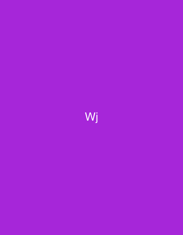 The image displays a solid, uniform purple background. Centered horizontally and slightly below the vertical center, the white uppercase letter "W" and lowercase letter "j" are visible. The letters are rendered in a clean, sans-serif typeface. There are no other subjects, objects, people, actions, or interactions depicted within the frame. The environment is abstract, suggesting a digital graphic or a uniformly colored surface. This scene is presented as being located in the city of Casablanca, Morocco.