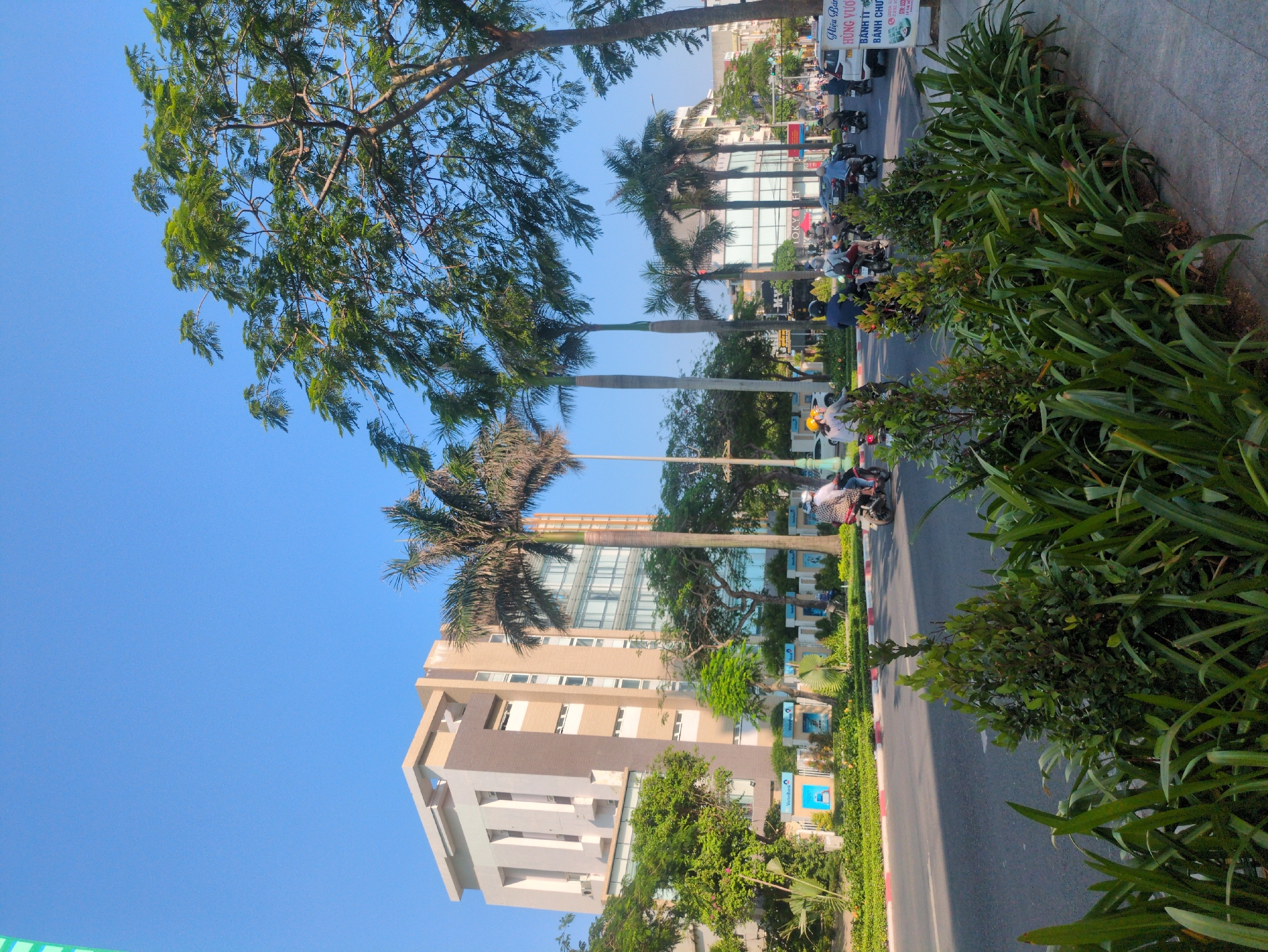 The image shows a street scene in Tuy Hòa, Vietnam, with a building, trees, and traffic. The building is a modern, multi-story structure with a mix of beige and gray facade. Palm trees and other greenery line the street. Traffic, including motorbikes, is visible on the road. The sky is clear and blue. The vegetation on the right appears lush and well-maintained. There are advertisements visible next to the road.