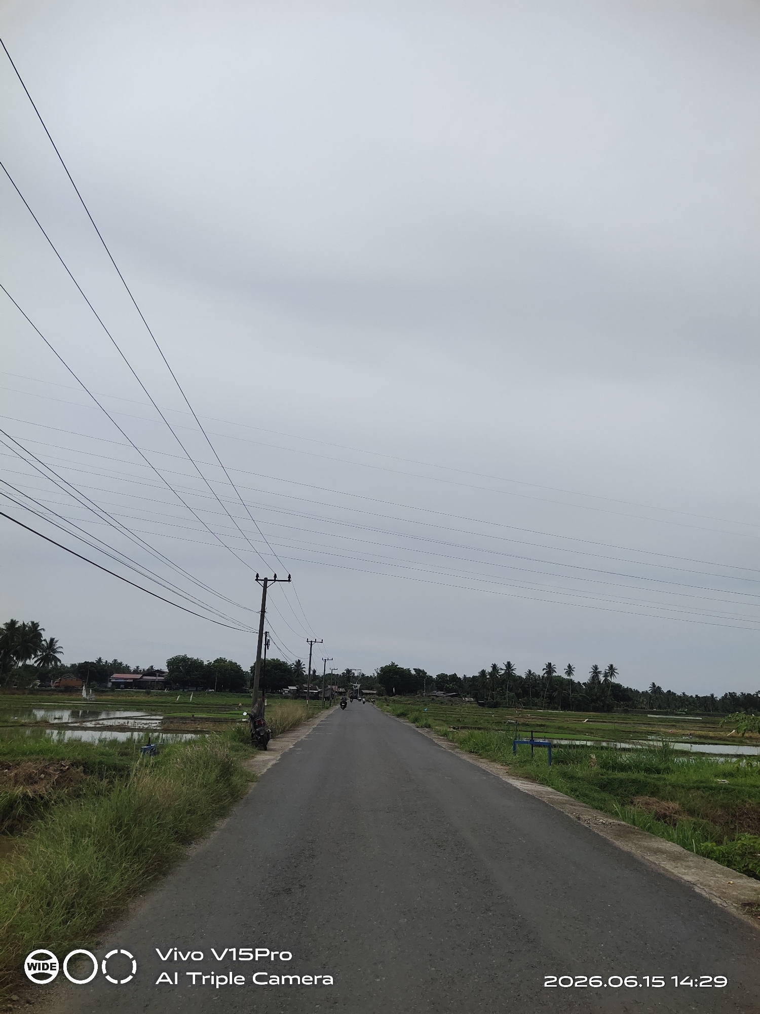 A photograph taken from a ground-level perspective on a paved road in Cotpuuk, Indonesia, shows a gray, overcast sky dominating the upper portion of the frame. A series of dark power lines stretch diagonally across the sky from the left to the right. The road itself appears to be a rural route, with green vegetation and cultivated fields lining both sides. On the left, rice paddies with water-filled sections are visible, bordered by tall grasses. On the right, the fields are also green and lush. Coconut trees and other foliage are scattered throughout the landscape, suggesting a tropical environment. Several utility poles with insulators are positioned along the road. A motorcycle is parked on the left side of the road, near a utility pole. In the distance, more utility poles and a few buildings are discernible amongst the trees. The image has a watermark in the bottom left corner that reads "WIDE" and "Vivo V15Pro AI Triple Camera," and a date and time stamp in the bottom right corner: "2026.06.15 14:29."