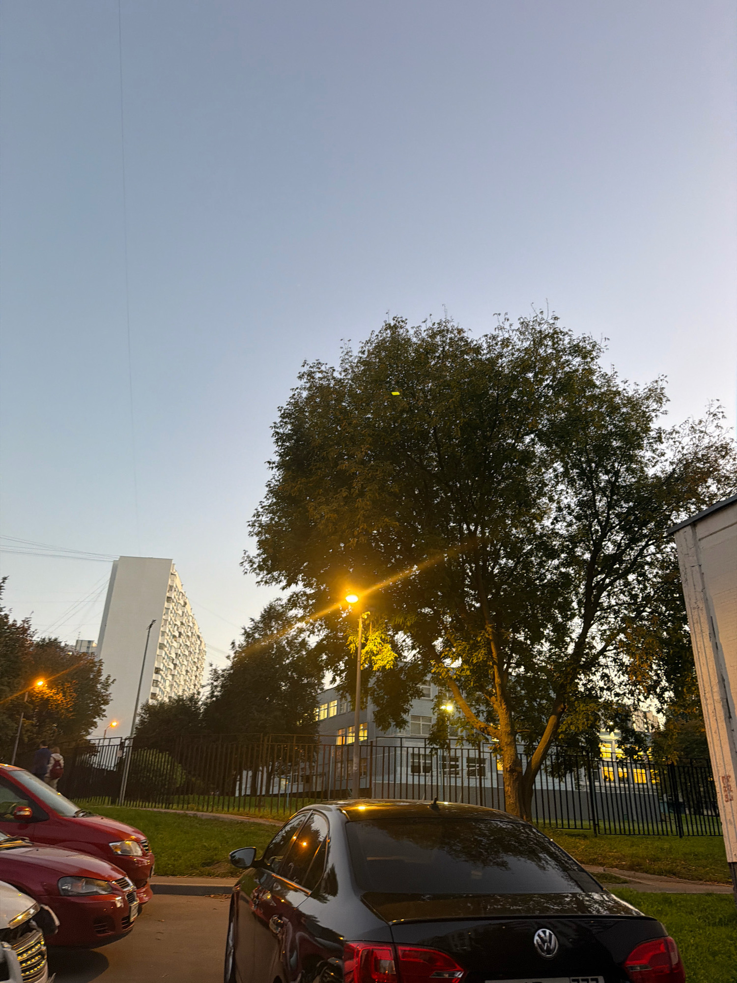 The image depicts an outdoor scene with a city apartment building in the background. The building is tall and white with many windows. In front of the building is a dark metal fence. There is a large tree with dark green leaves in the foreground, partially obscuring the building. A street lamp with an orange light is visible on the right side of the tree. In front of the tree, a dark-colored car is parked. To the left of the tree, two red cars are parked, one in front of the other. The sky is clear and light blue, suggesting it is either early morning or late afternoon. A thin, dark vertical line is visible in the sky, possibly a utility wire or a light streak. There are no people clearly visible in the foreground or interacting with the objects. The scene appears to be a residential area in Moscow, Russia, likely a courtyard or parking lot.