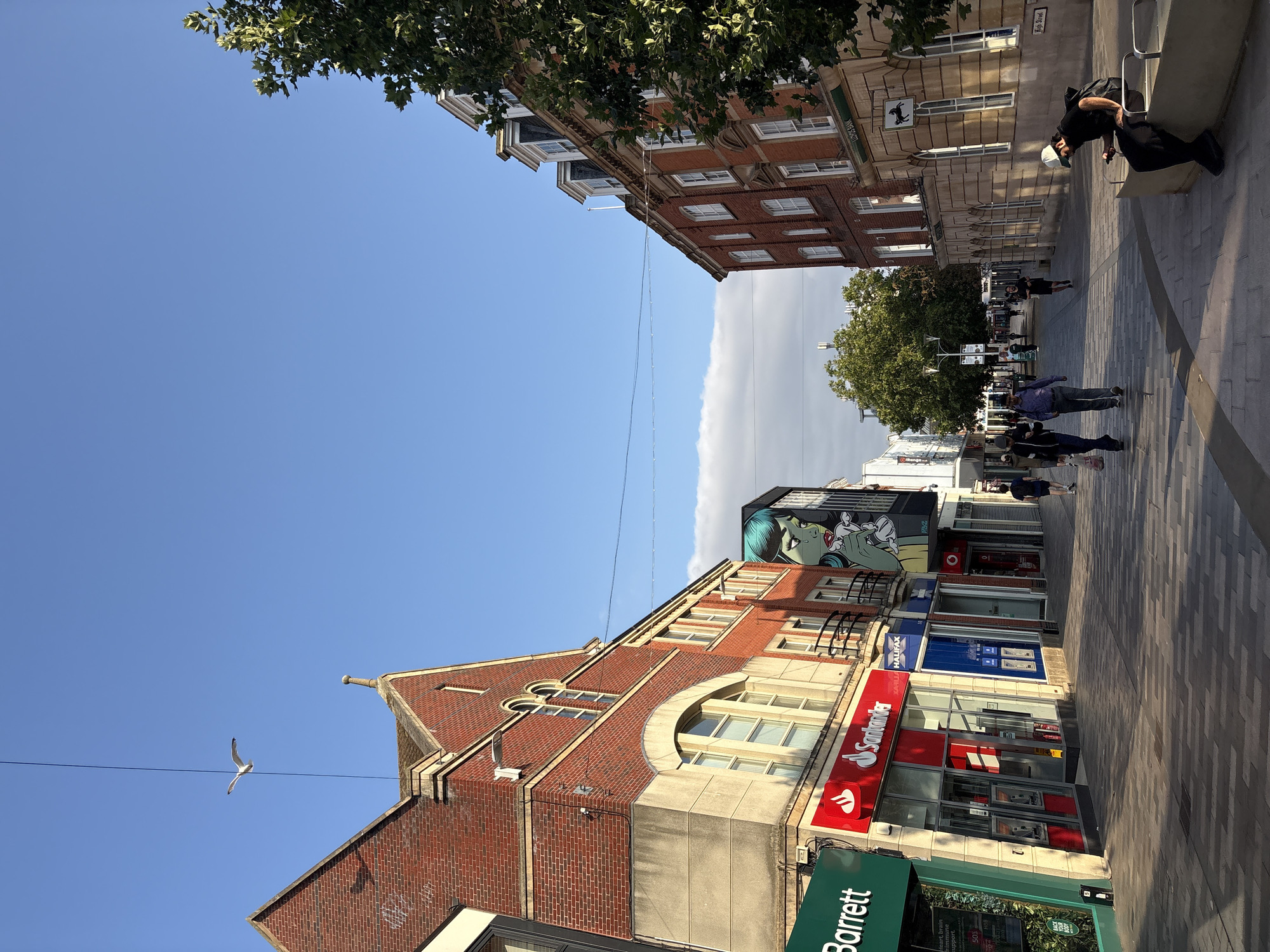 The image depicts a street scene in Chelmsford, United Kingdom, likely High Street based on signage. The perspective is from street level, looking down a pedestrianized area lined with buildings housing various shops and banks, including Santander, Halifax, and Lloyds Bank. The architecture is a mix of older brick buildings and more modern shop fronts.
On the left side of the street, a red brick building with arched windows and a concrete base occupies the foreground. Below this building, a green sign for "Barrett" is visible, and next to it, a red Santander bank branch with ATMs. Further down, a Halifax bank is also present. A large, stylized mural of a crying woman with blue hair is painted on the side of a building to the right of the Santander branch.
On the right side of the street, a stone-fronted building with a Lloyds Bank sign and a horse emblem is visible. This building also has multiple stories with white-framed windows.
Several people are walking along the street, some appearing to be shoppers or commuters. One person is seated on a low concrete wall in the foreground on the right, looking at their phone. The sun is casting long shadows across the paved walkway, indicating it is likely late afternoon or early morning. The sky is clear blue with a few wispy clouds. A seagull is captured in flight against the sky, suspended by a thin wire. Trees are visible further down the street, adding greenery to the urban environment.