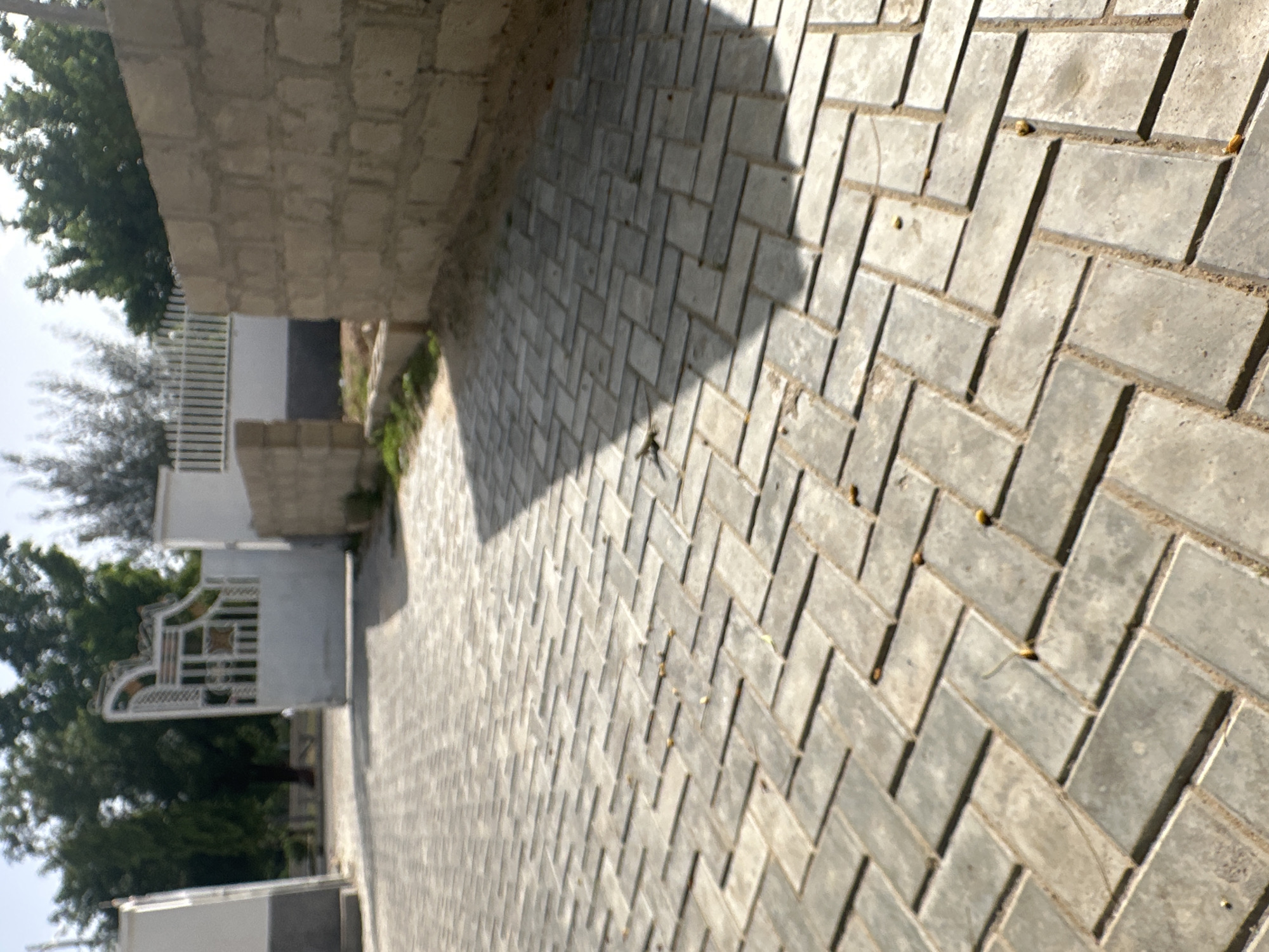 The image depicts a paved walkway leading towards a decorative white metal gate with an ornate design. The walkway is made of rectangular grey interlocking bricks laid in a herringbone pattern. To the right of the walkway, a wall constructed of light-colored cinder blocks is visible, with some greenery and sand visible beyond the wall. The background features lush green trees and a bright sky. In the foreground, a small, slender lizard is visible on the paved surface. The scene appears to be an entrance or pathway to a property, possibly residential or institutional. The context of Muhammadu Dikko Stadium, Nigeria, is not directly evident from the visual information presented in the image.
