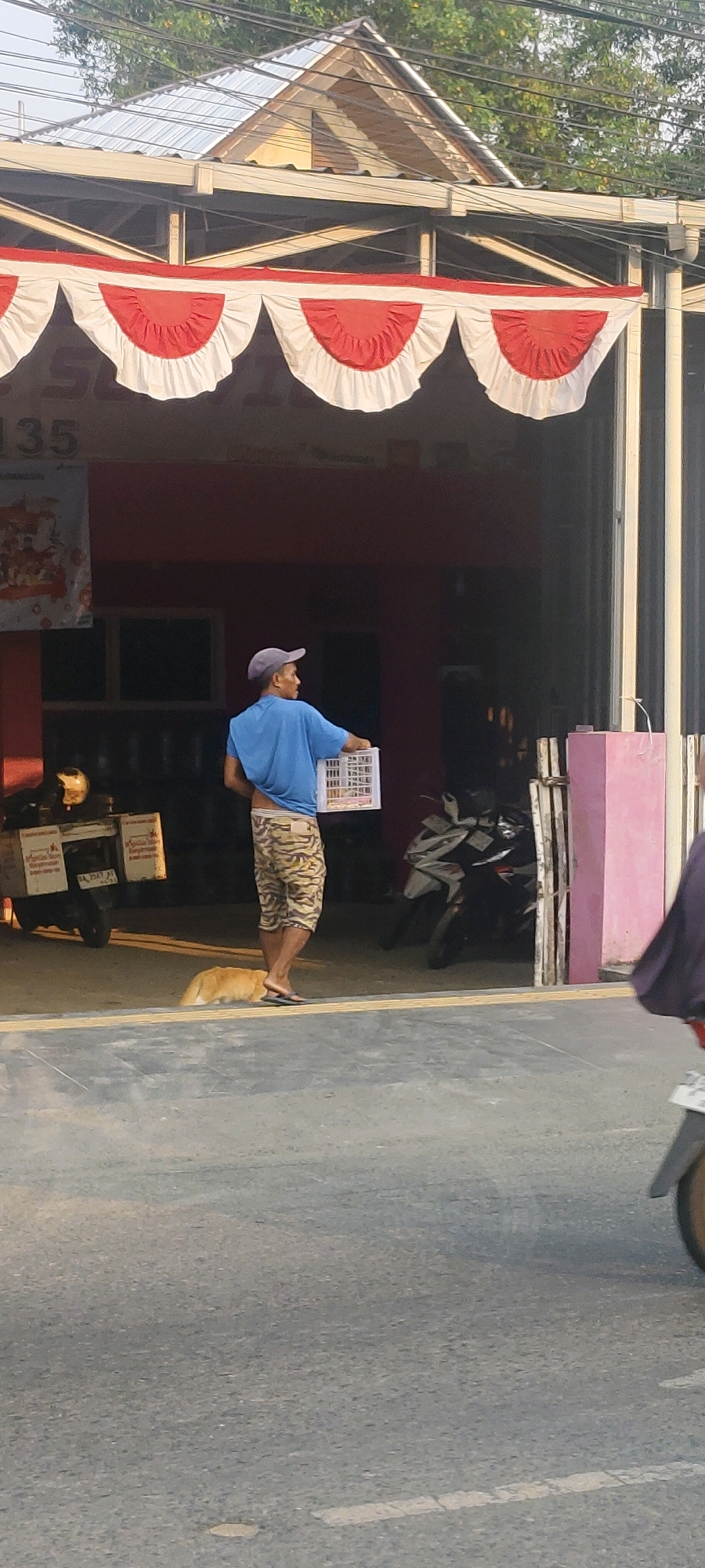 In Banjarmasin, Indonesia, a man wearing a blue t-shirt and camouflage shorts walks along a street, holding a white plastic crate. He is walking away from the viewer and to his left. A light brown dog is lying on the ground near his feet. In the background, there are motorcycles parked outside a building adorned with red and white bunting. The building has a metallic roof and an open entrance. The scene takes place outdoors on a paved street with a yellow line marking the edge of the sidewalk.